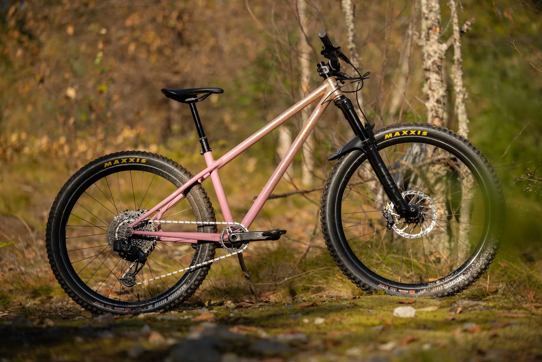 SCHON MTB OUTSIDE-5.jpg