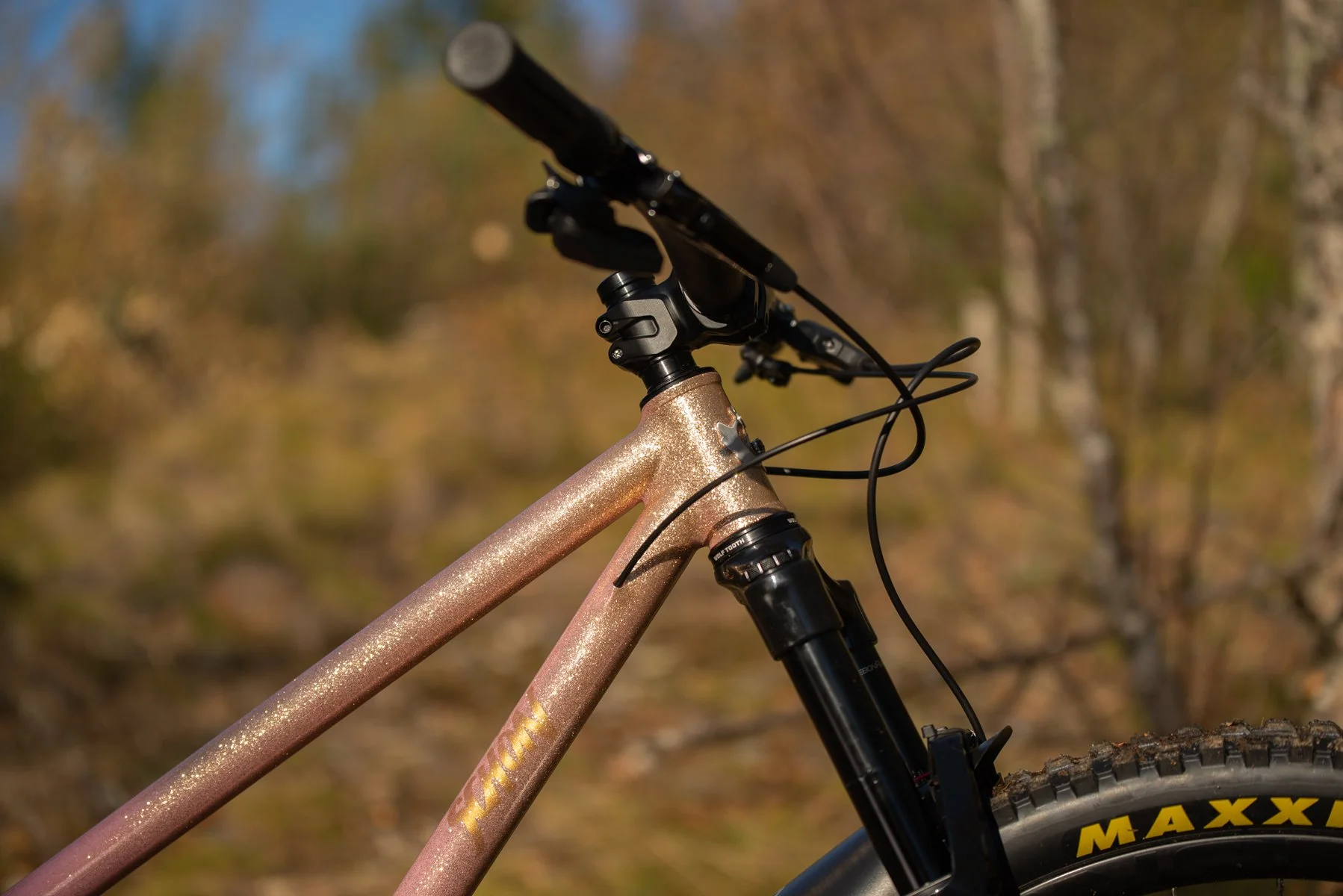 SCHON MTB OUTSIDE-9.jpg