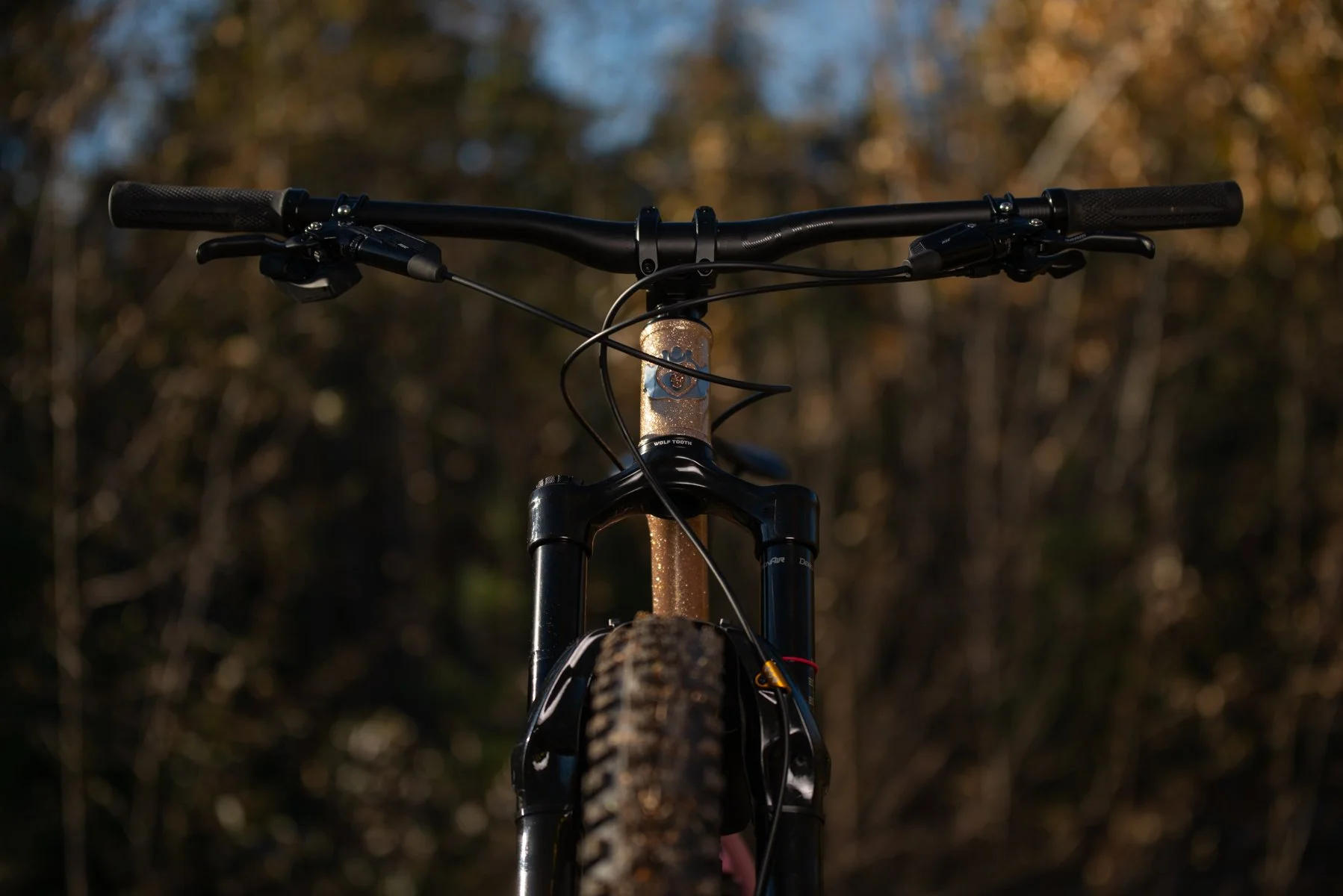 SCHON MTB OUTSIDE-10.jpg