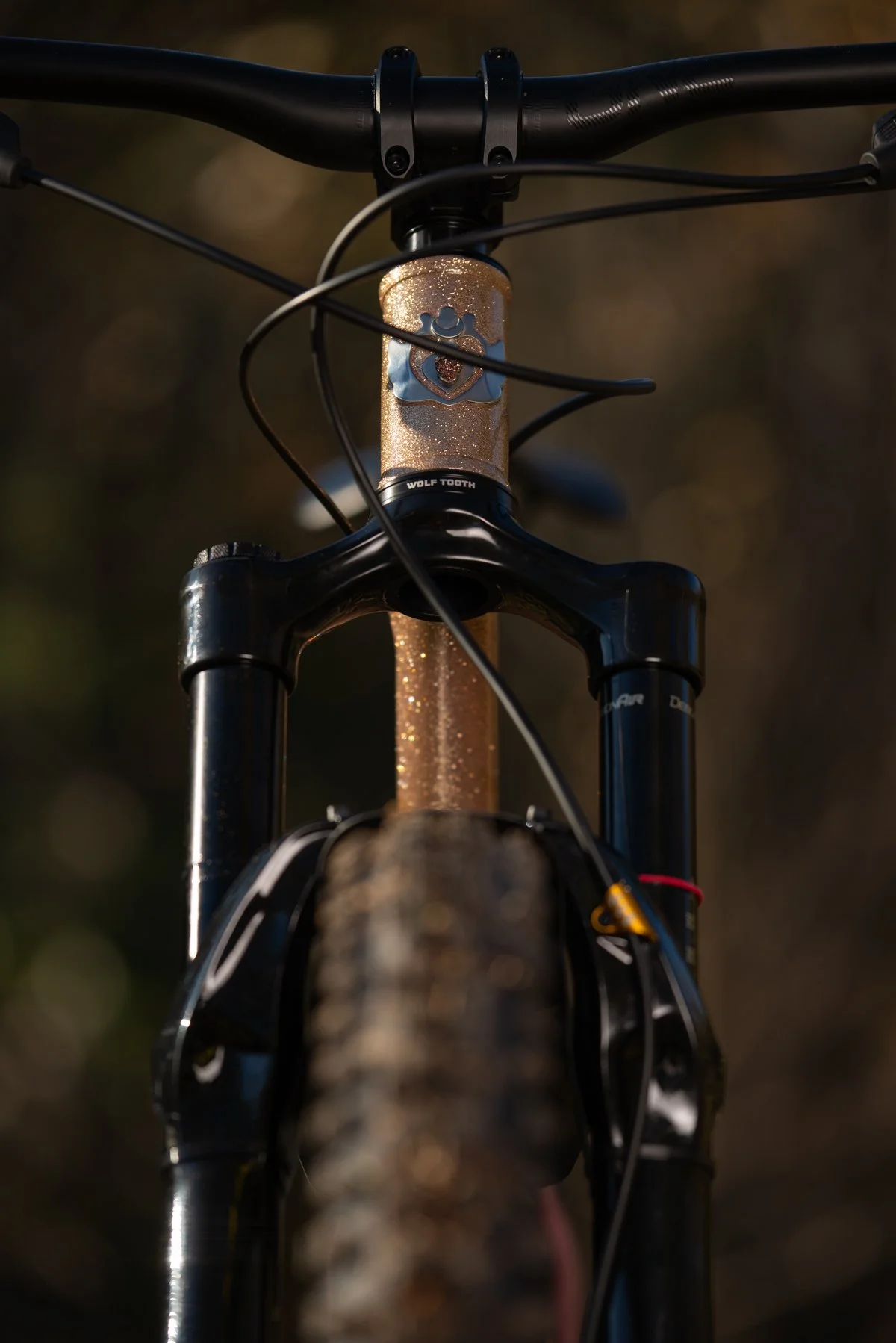 SCHON MTB OUTSIDE-11.jpg