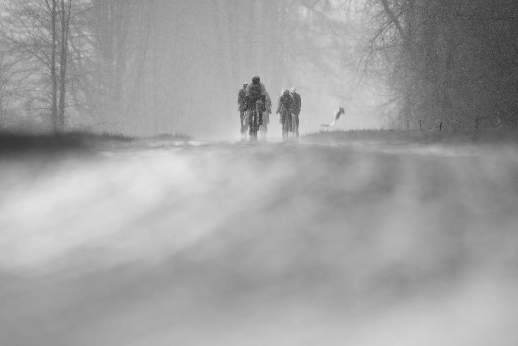 JEREMYS ROUBAIX 2023-3.jpg