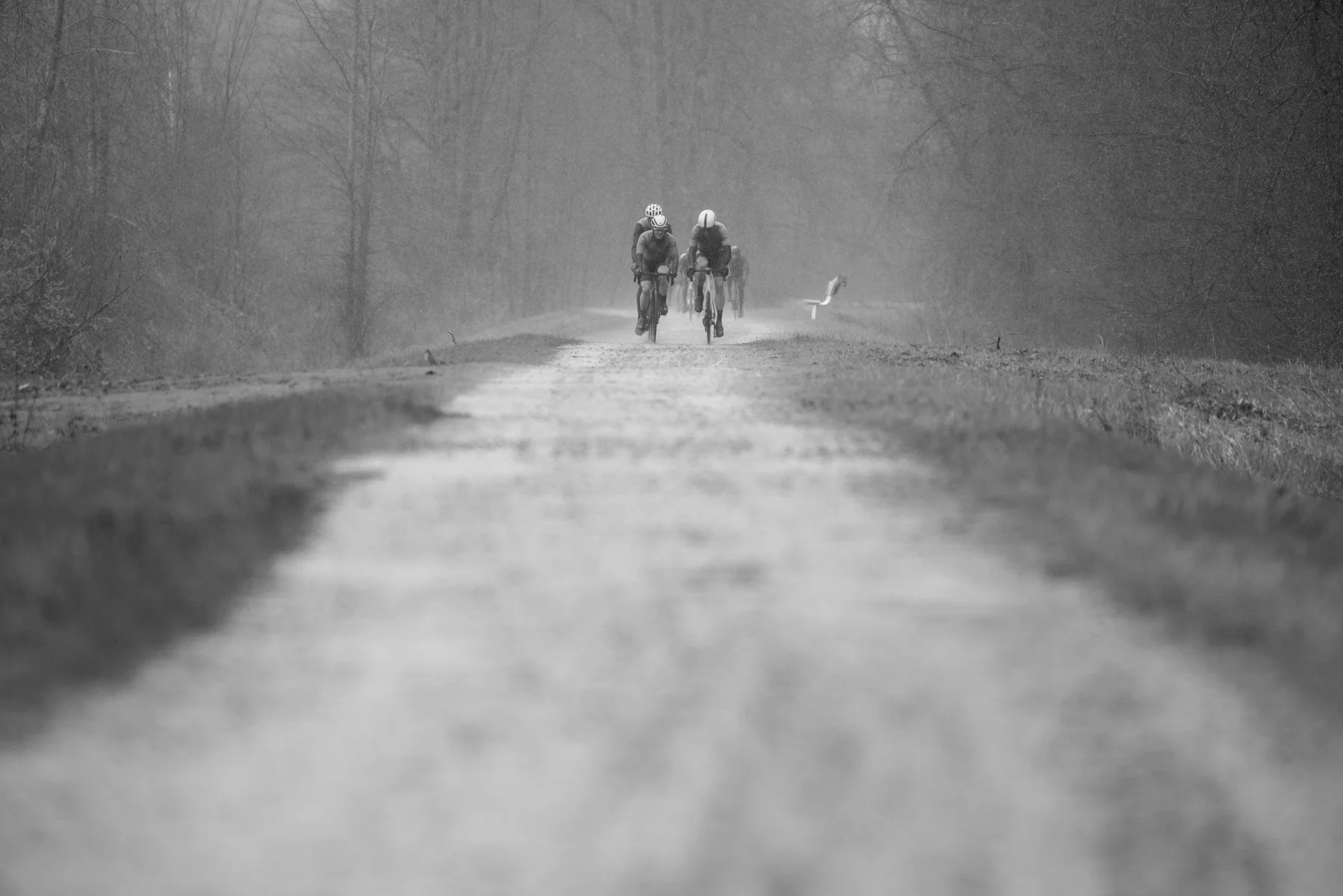 JEREMYS ROUBAIX 2023-62.jpg