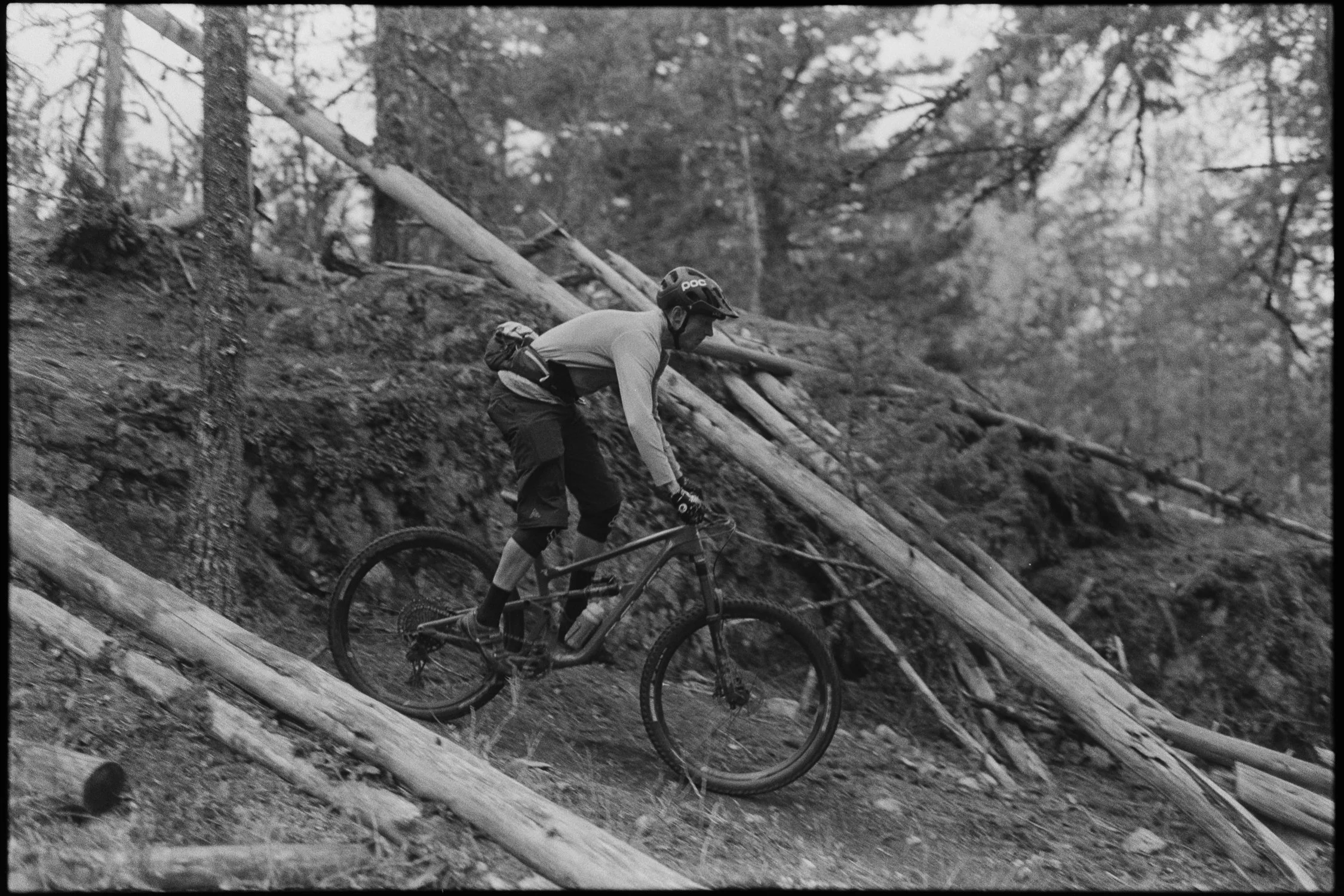 PEMBERTON MTB-4.jpg