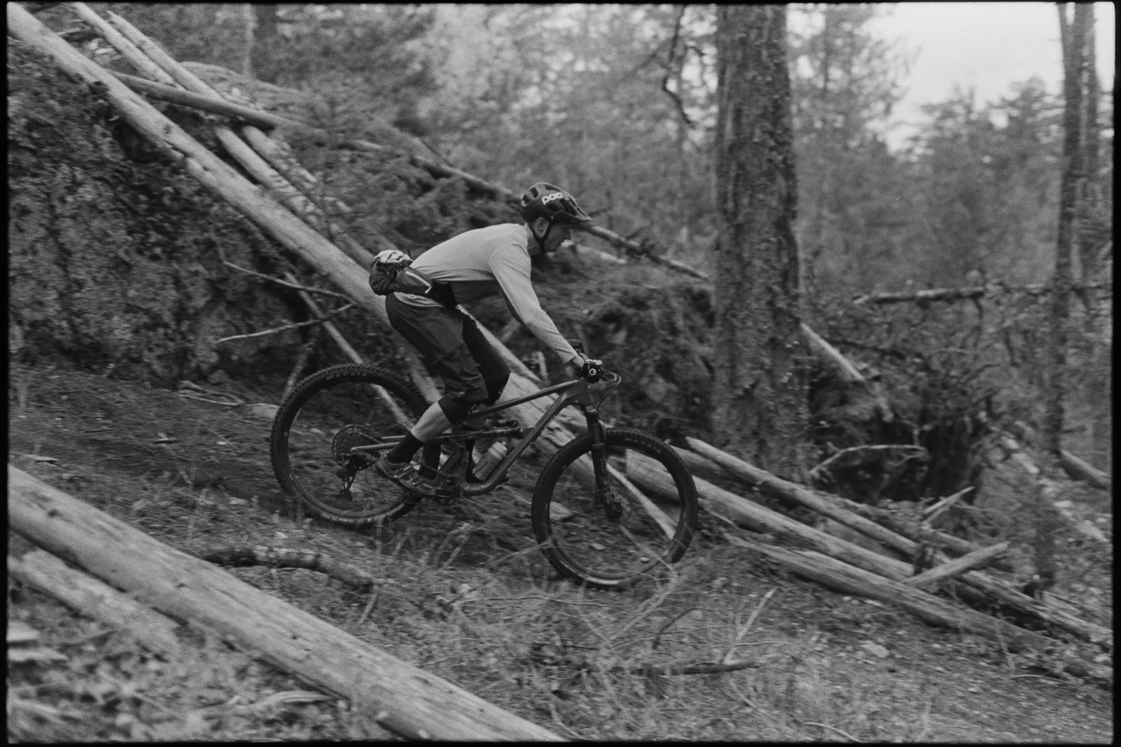 PEMBERTON MTB-5.jpg