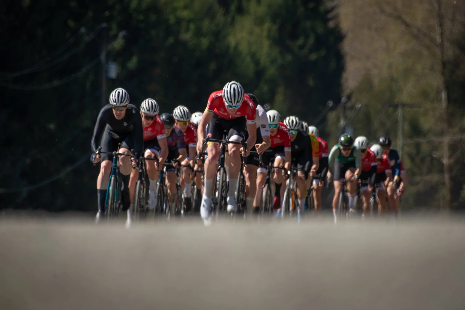 JERS ROUBAIX 2024-20.jpg