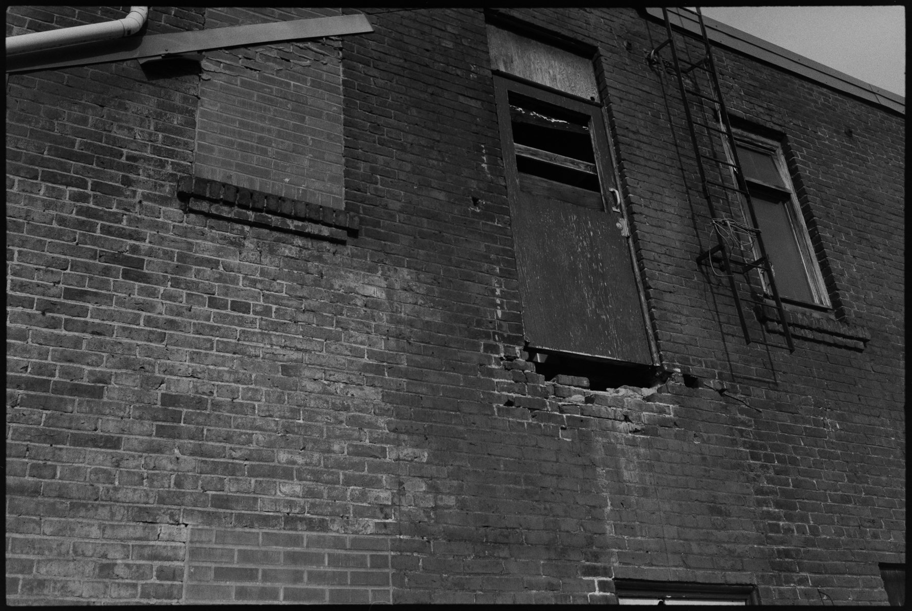 JANUARY 2024 FILM-129.jpg