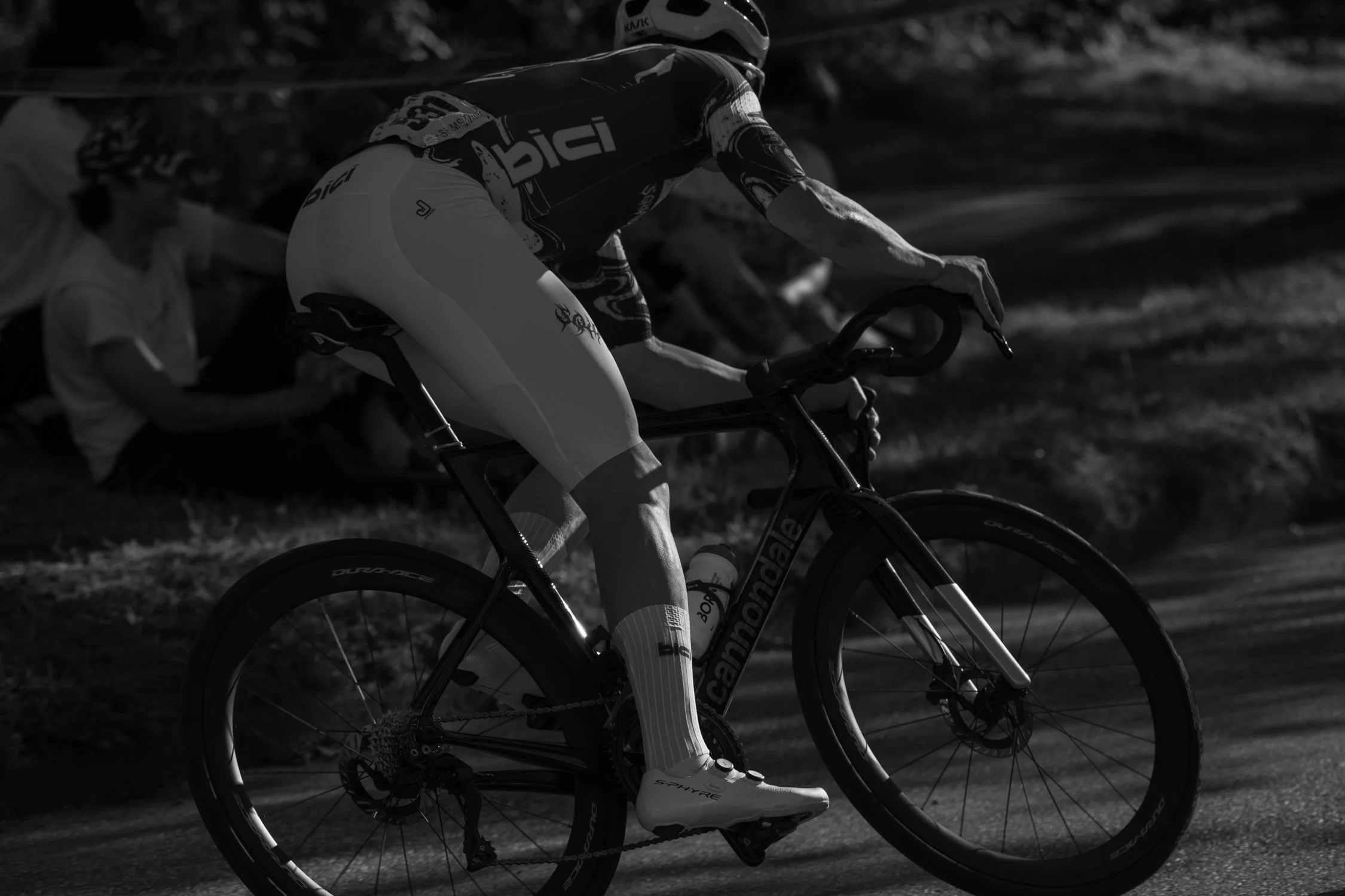 SHIMS CRIT 2026-314.jpg
