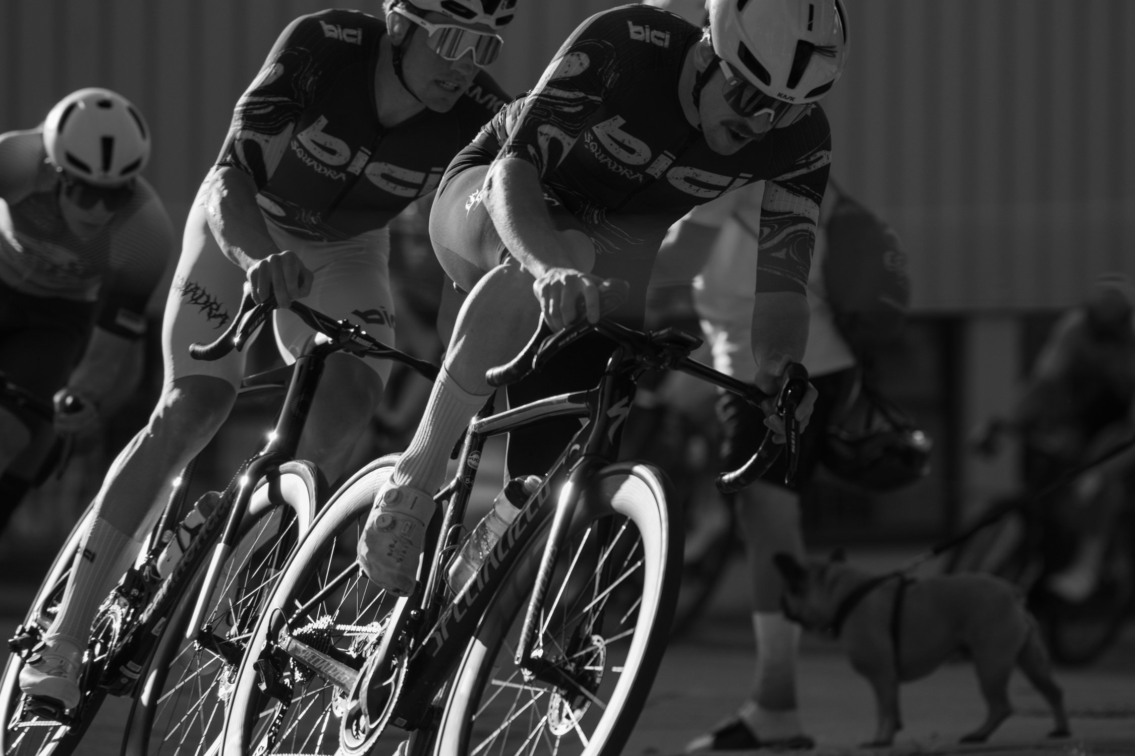 SHIMS CRIT 2026-327.jpg