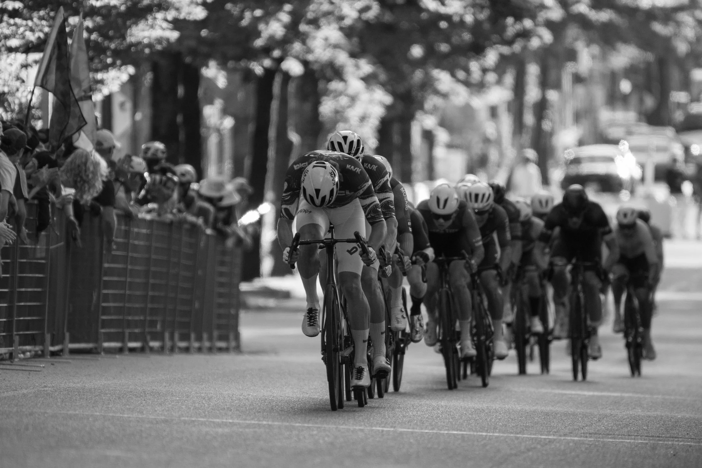 SHIMS CRIT 2026-336.jpg