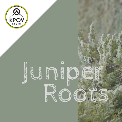 Juniper Roots