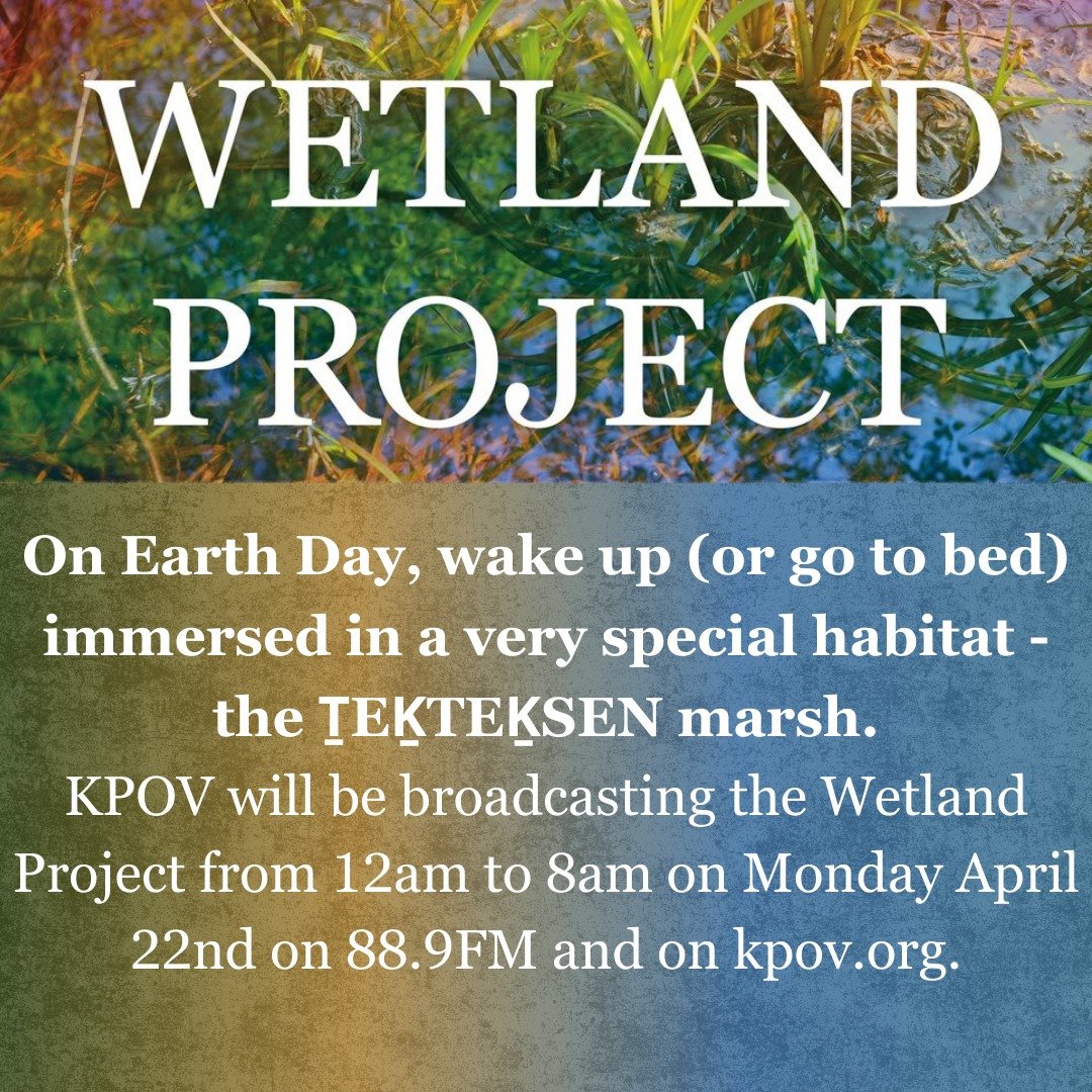 The Wetland Project immerses listeners in the vitality of a special animal habitat in real time. Listen to birds, frogs, insects, and airplanes in ṮEḴTEḴSEN marsh in unsurrendered W̱S&Aacute;NEĆ territory (Saturna Island, British Columbia). 

Tune in