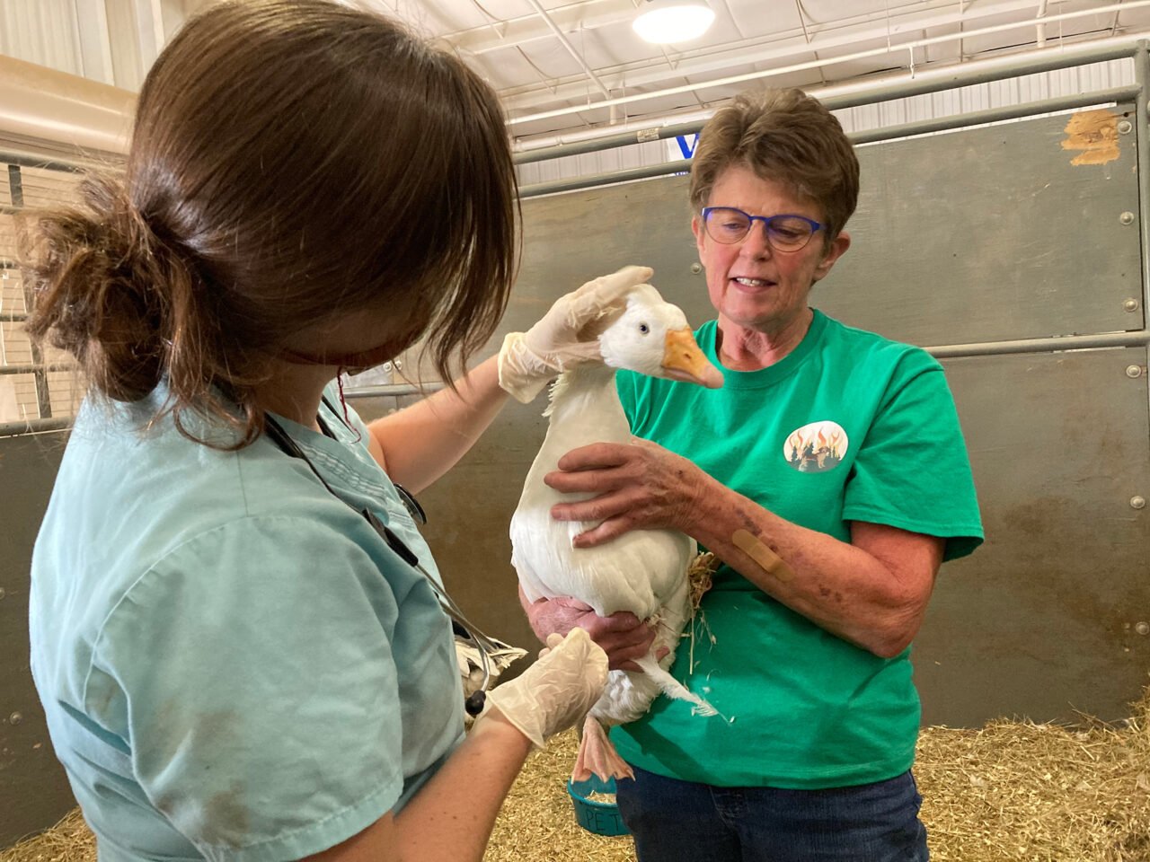 The Pet Evacuation Team is there when disaster strikes.
