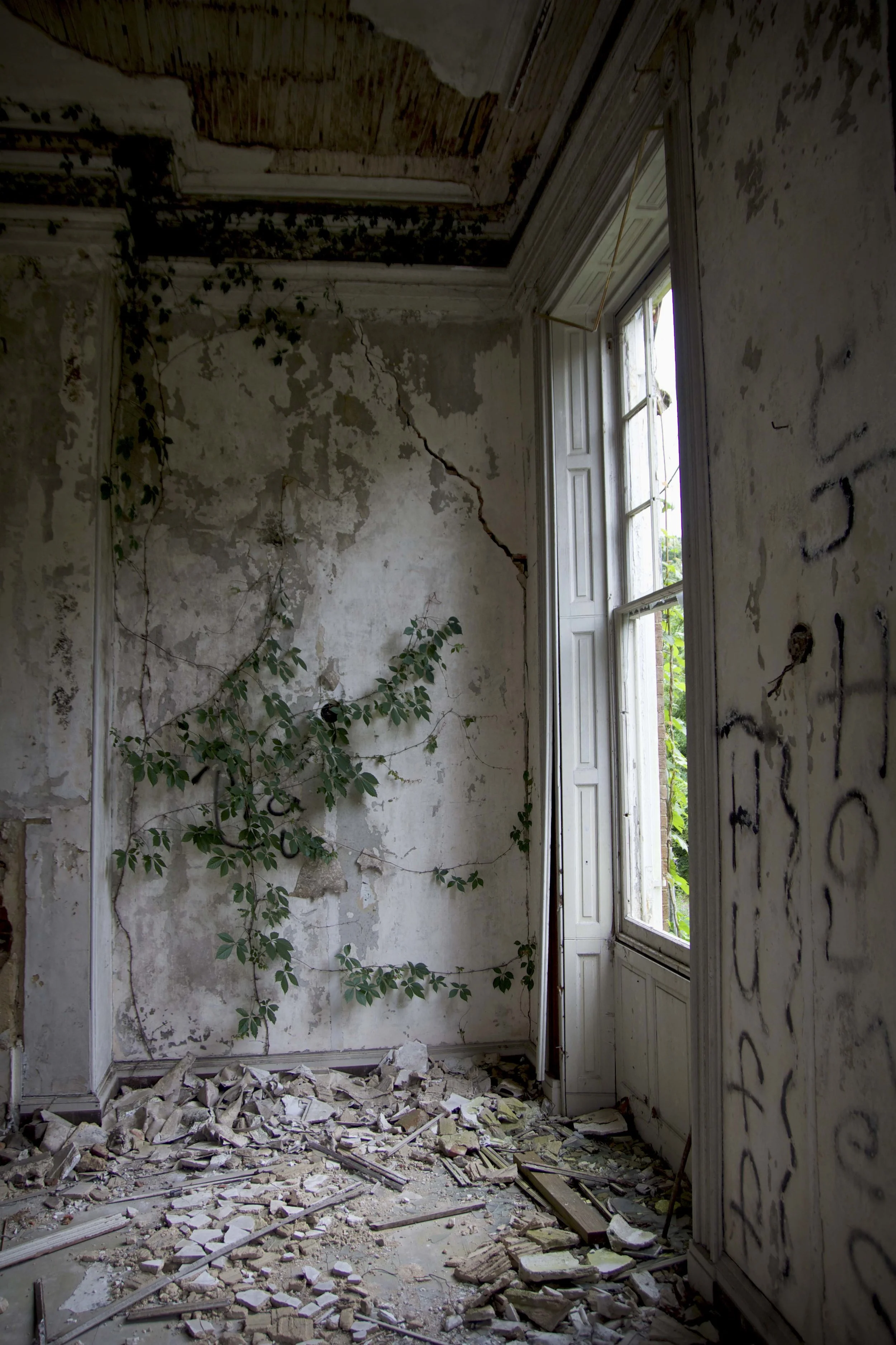 One of the 4 large rooms on the first floor. I believe this to have been a sitting parlor or maybe the library.