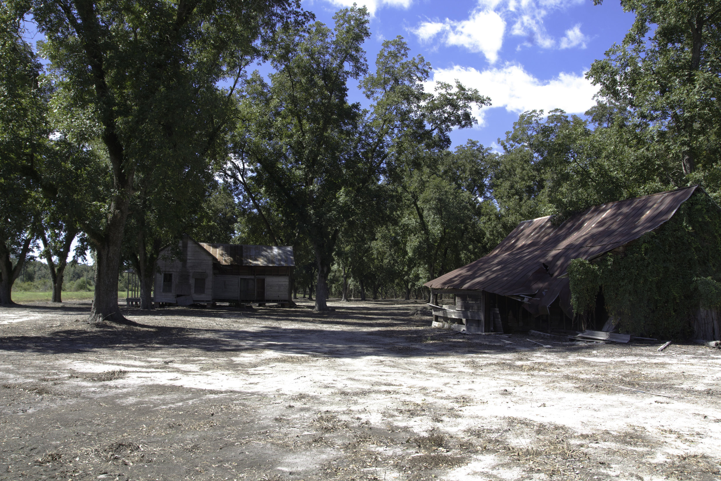 alapaha pecan house_3.jpg