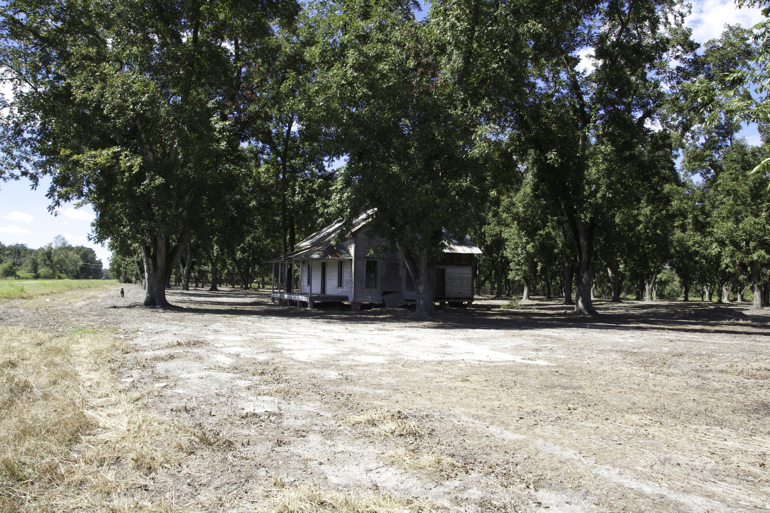 alapaha pecan house_18.jpg