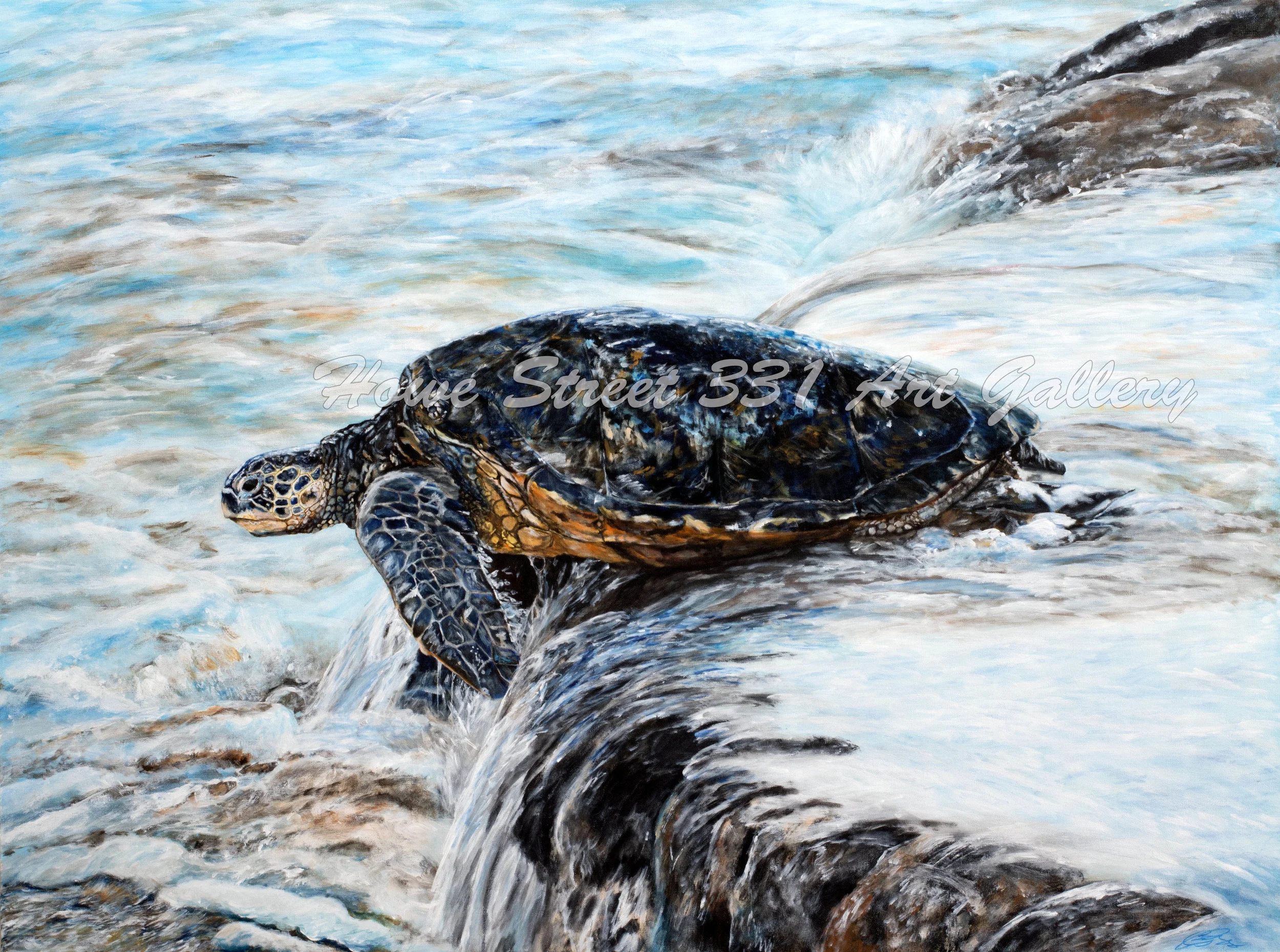 Carleen Ross “With each painting I try to share the world as I see it; a world of endless colour and beauty. If we could all see the beauty in life around us we may find that we may carry a slower pace as we carry out our daily routines. As we would want to be in the presence of this beauty as long as possible, versus hurrying to the next task.” — Carleen Ross
