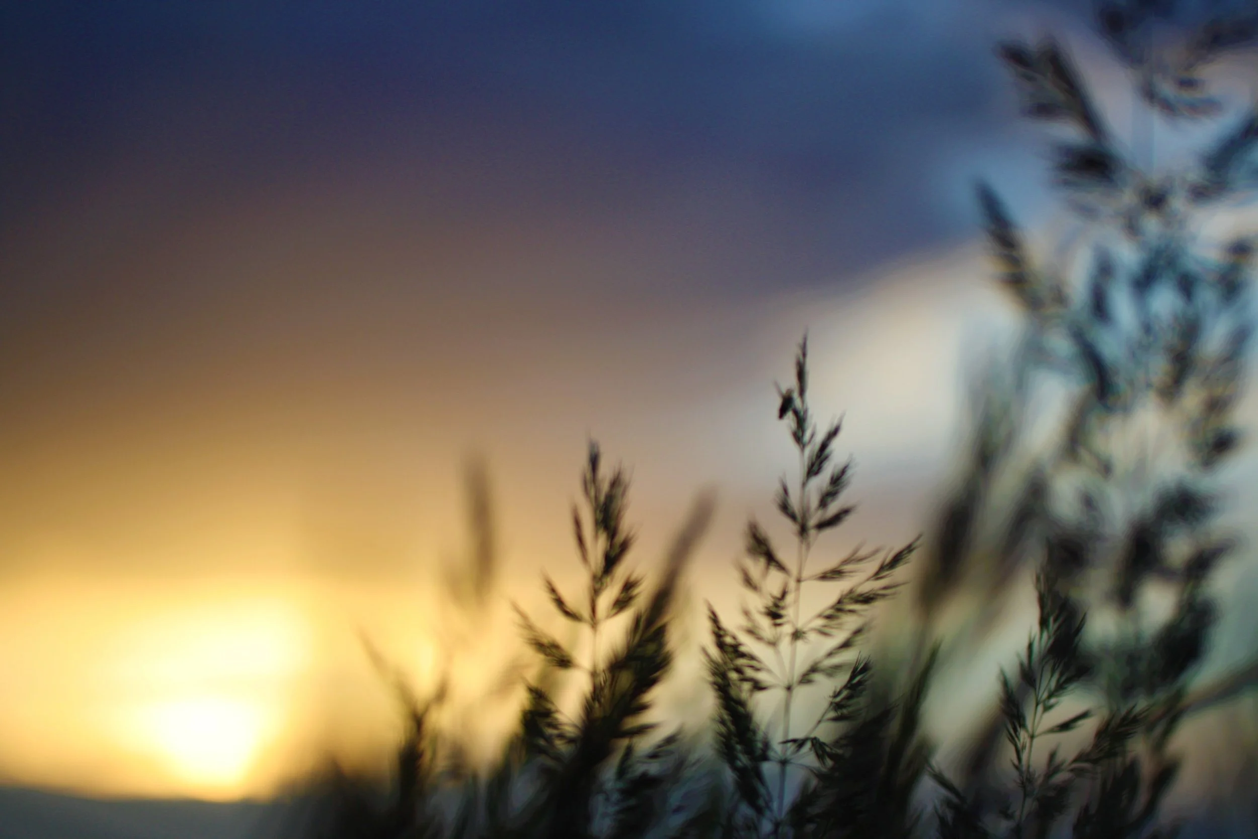  It’s getting darker a lot earlier these days! Be sure to get outside when it is light and get that natural vitamin D! Image Courtesy: Envato Elements 