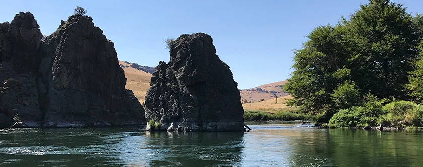 A Trip Down the River