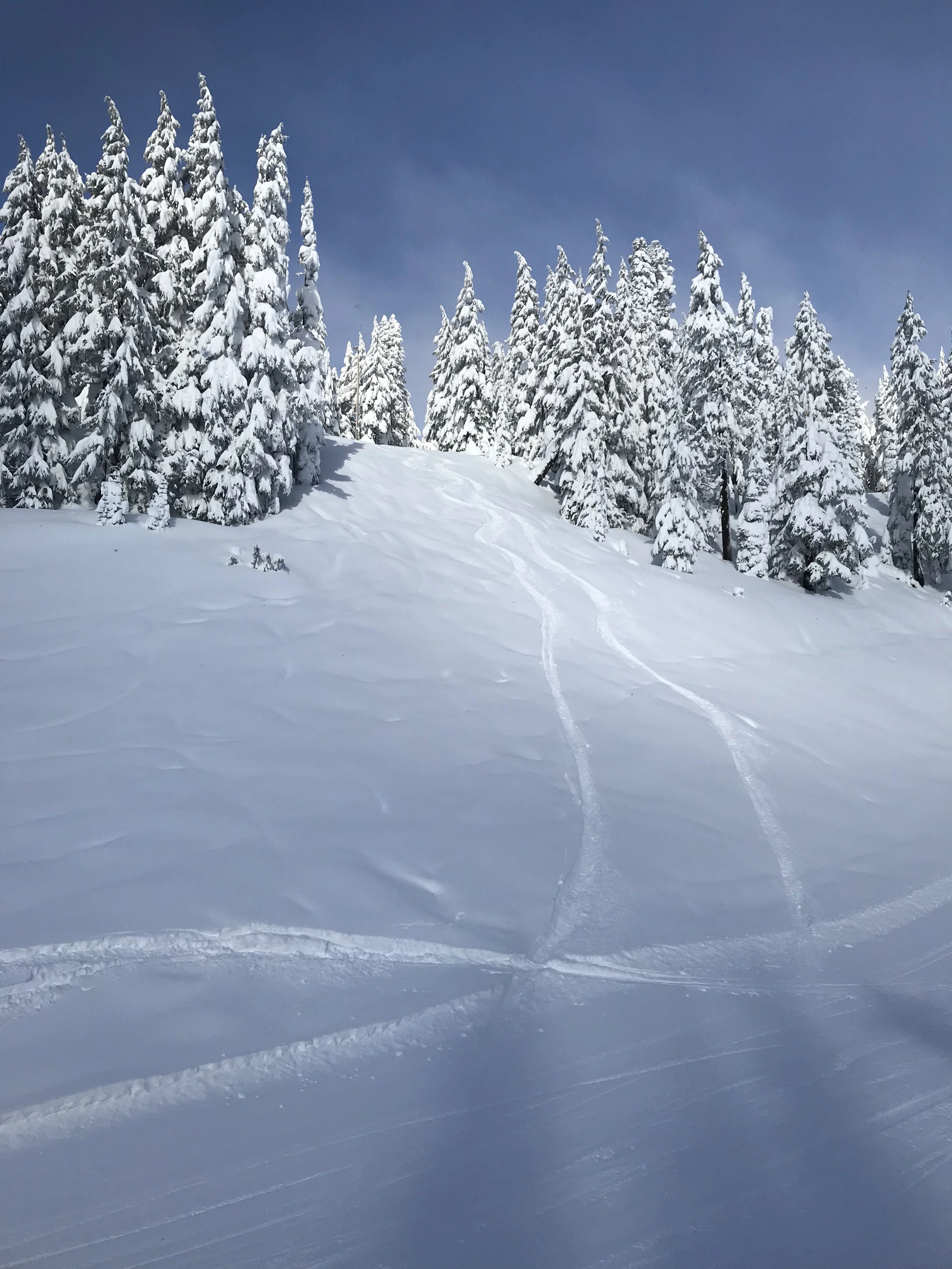  Here is a shot of some tracks a buddy and I laid down on the first run. His ski tracks on the left, my snowboard tracks on the right. Oh to just relive it! Image Courtesy: Dan Meyers 