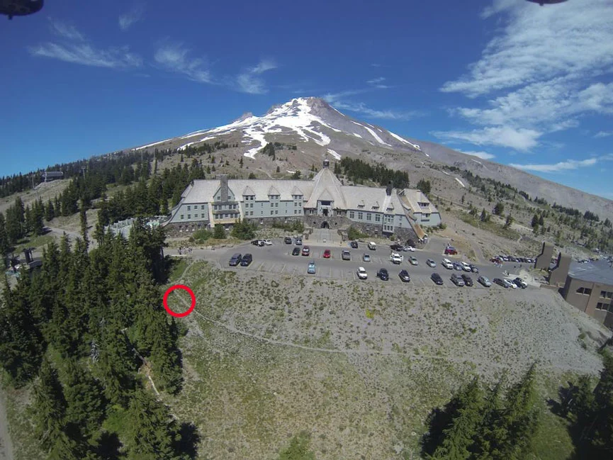  Here is a picture showing where the bear was spotted, and where it enters the trees in the above video. Original Image Courtesy: Timberlinelodge.com 