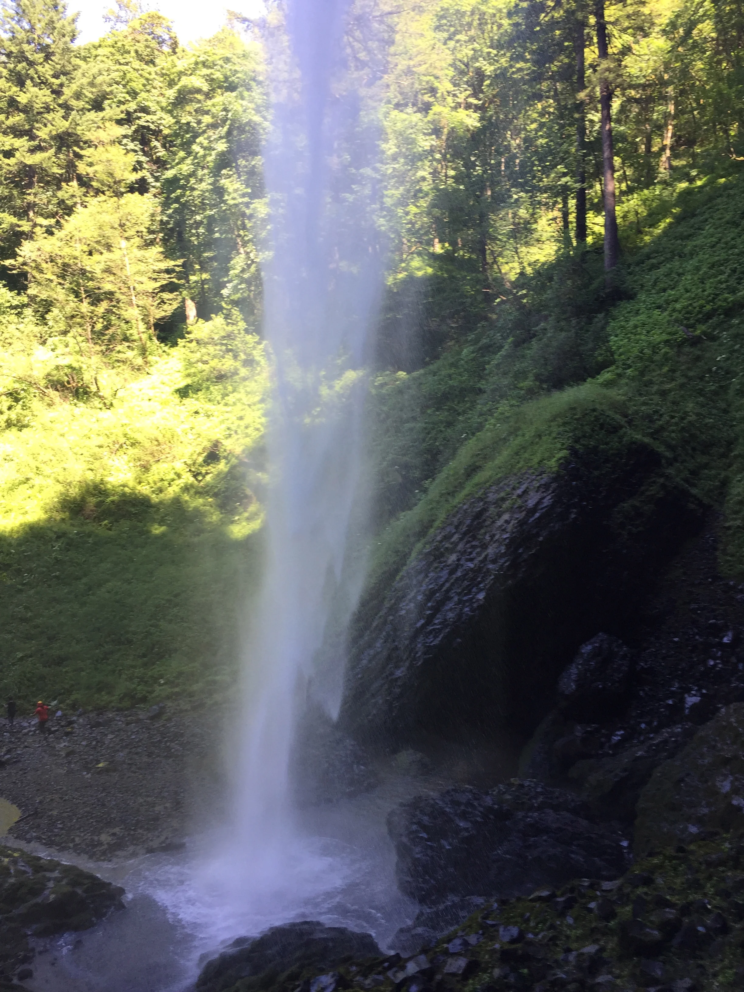 The first waterfall on the Latourell Falls hike is seen right after parking. A short jaunt gets you to the plunge pool…a welcome respite on a blazing hot day. That said, the water is FRIGID and I wouldn’t dare swim in the pool here unless the falls are a bit more of a trickle ;). image Courtesy: Agoodgrey.com