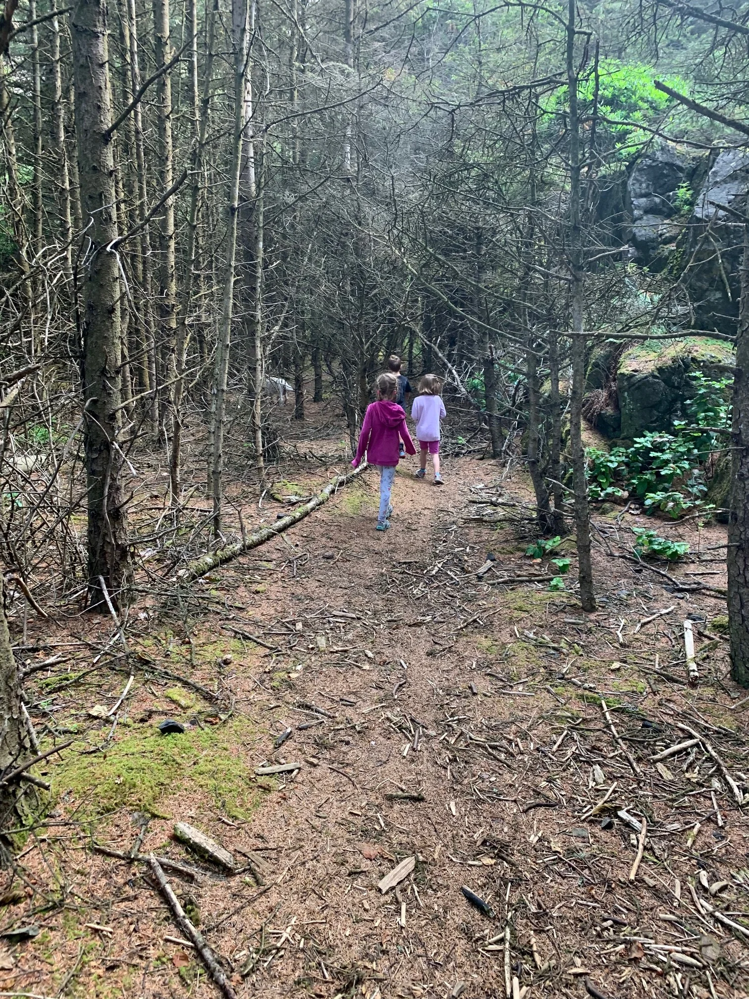  Two of the kids working their way “on point” along the trail. It was just up ahead here, where you can see my white furred dog, that we found the first deck spikes (below). Image Courtesy: Dan Meyers 