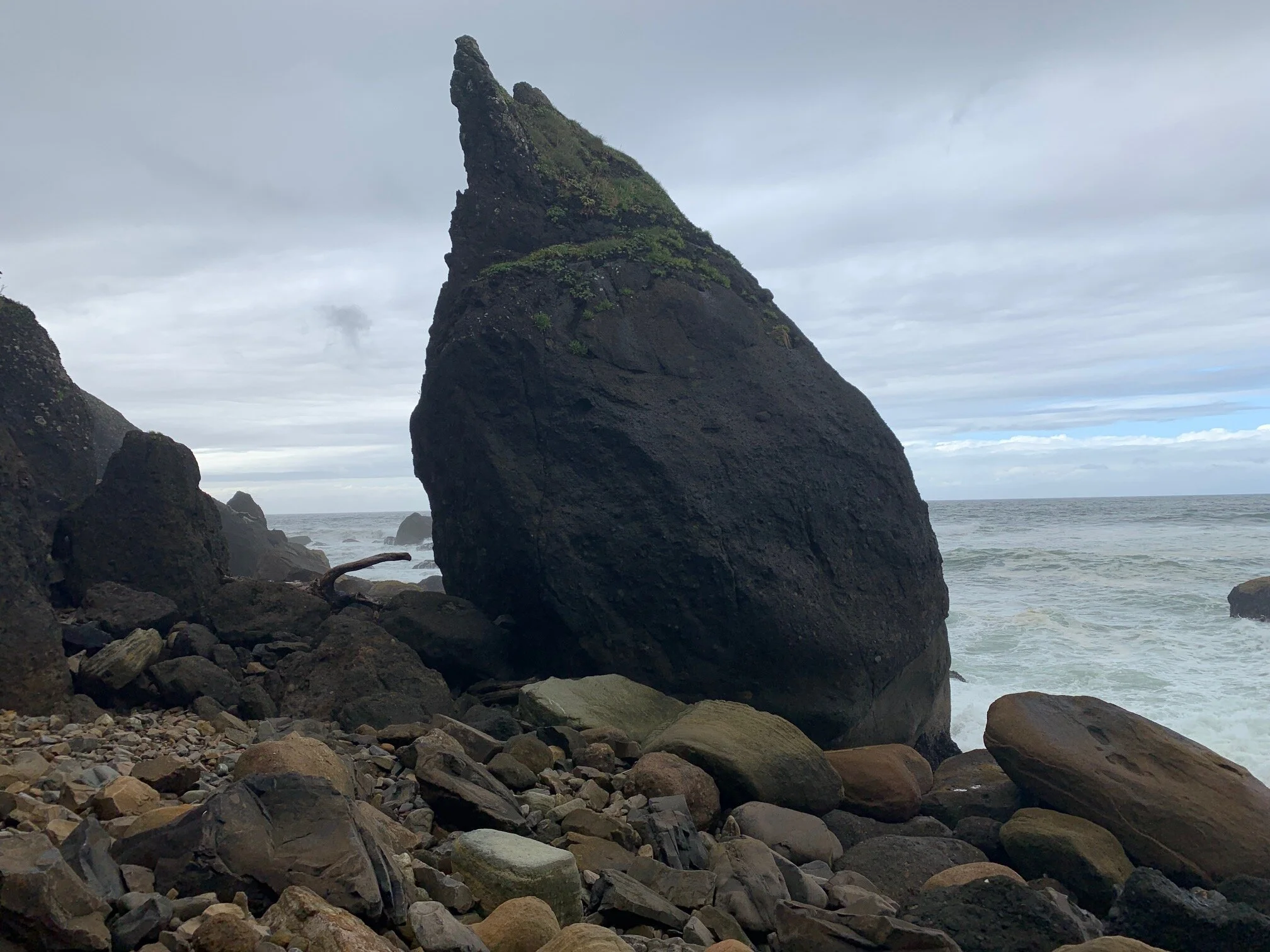  I took this picture hiking out on the point at the south end of nearby Falcon Cove. This place can be found the Cove Beach Road, just past the mountain tunnel heading south from Cannon Beach (towards Manzanita). This is a pretty quite place, so enjoy the solitude! Image Courtesy: Dan Meyers 