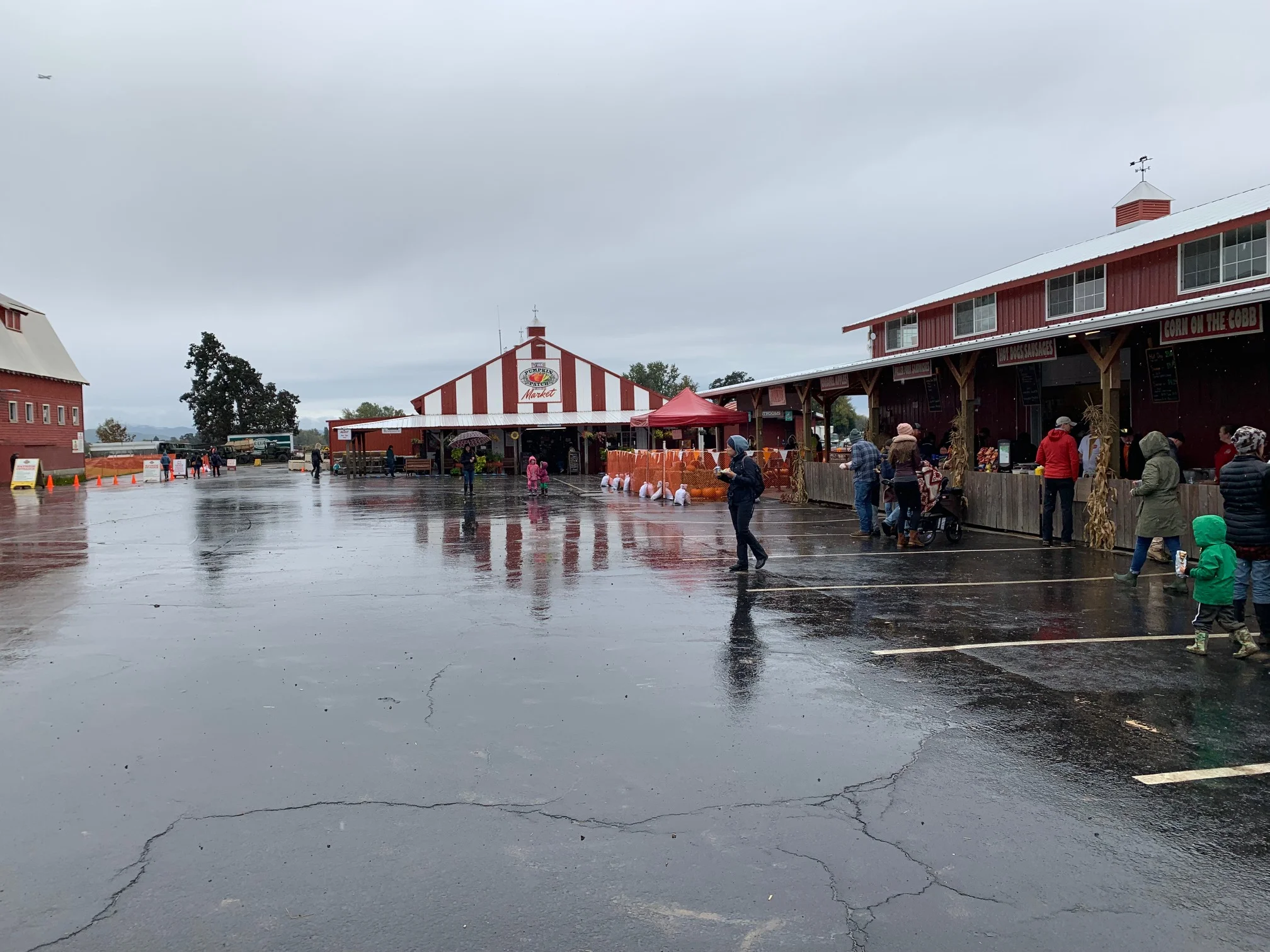  The Pumpkin Patch has clearly worked out all the kinks. They had SO MUCH food to choose from. Elephant ears, corn on the cob, hot sandwiches, caramel apples…the list goes on. You can see their farm fresh market in the background here as well. Image Courtesy: Dan Meyers 