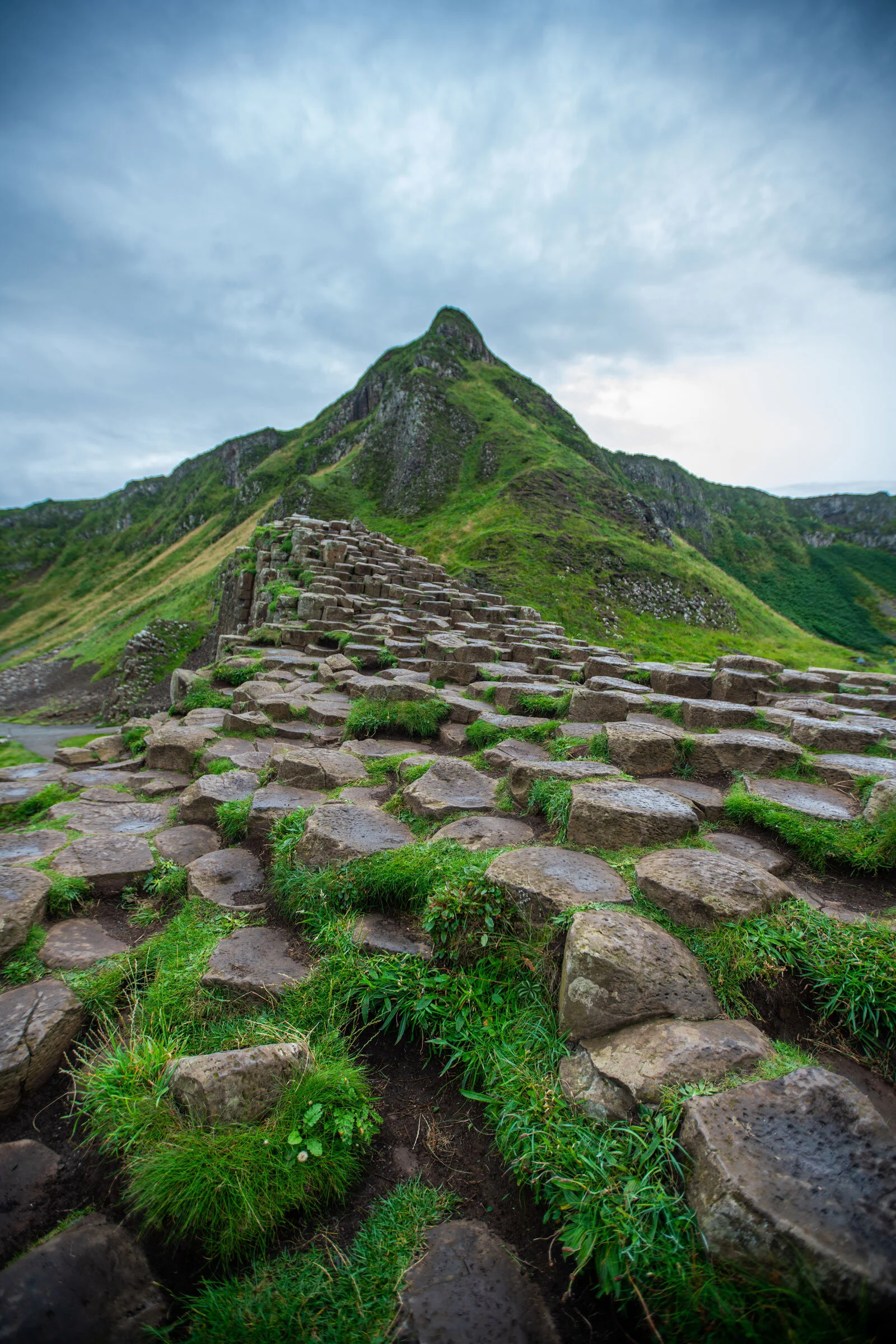  Can you find the hidden, four lead clover? Image Courtesy: Tyler Donaghy, Unsplash.com 