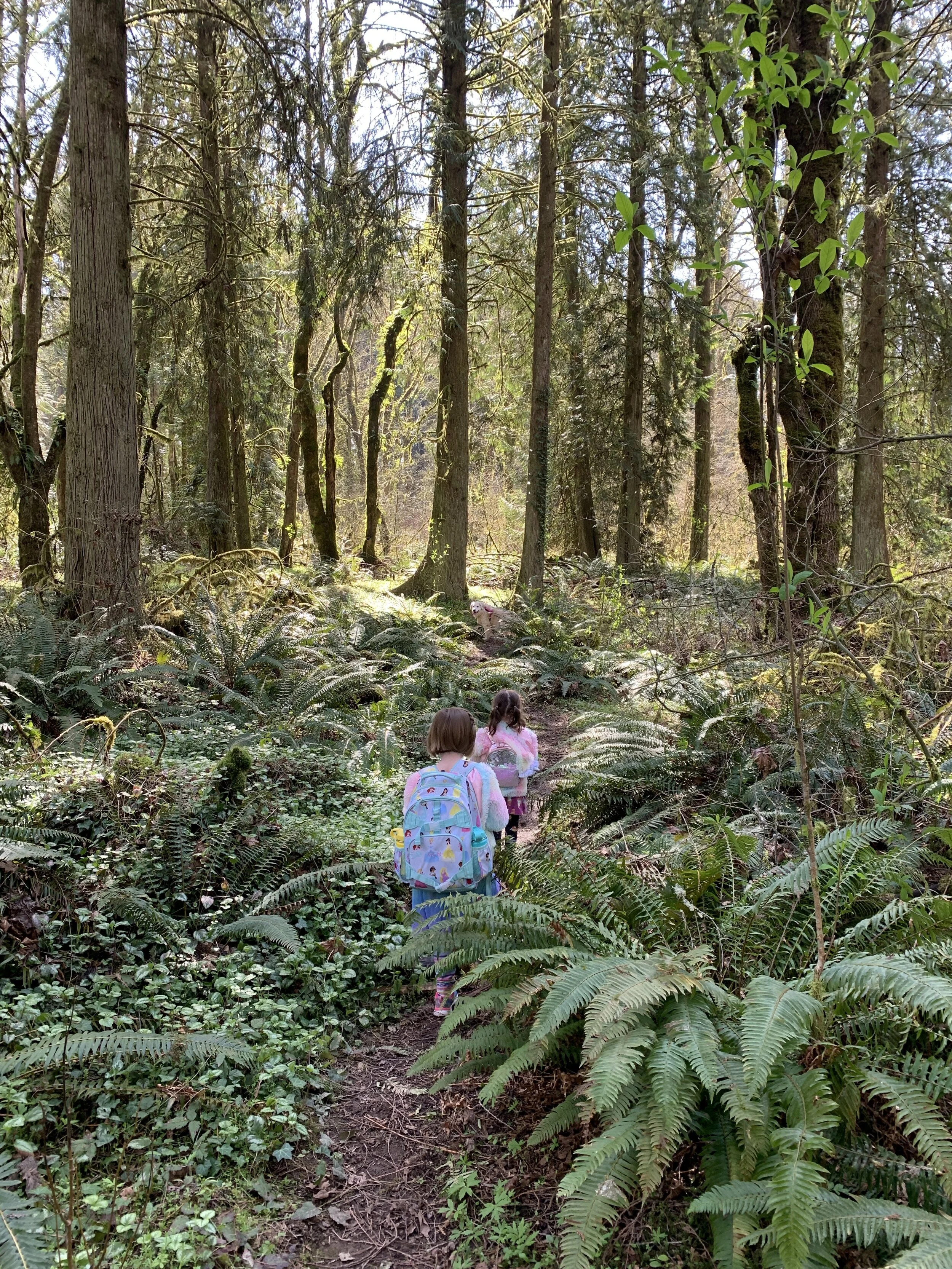  This beautiful weather has made for some nice walks with just the family (keeping at least 6’ or more away from others). My two girls (and dog down the trail) are pictured here. Image Courtesy: Dan Meyers 