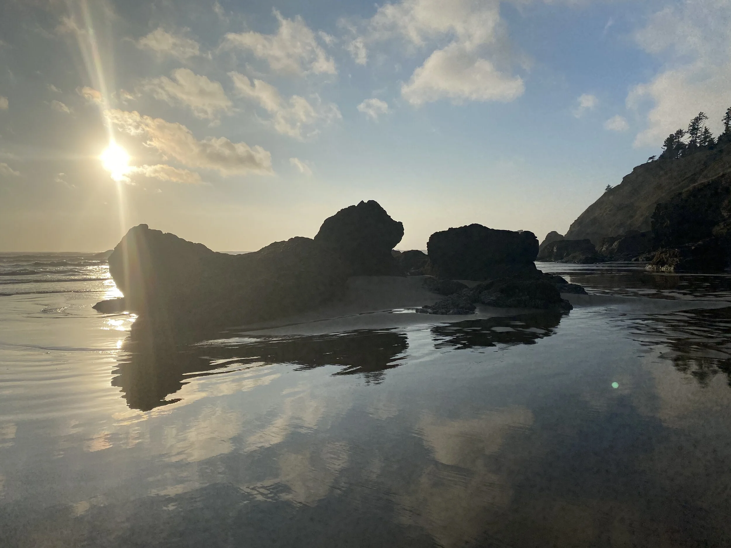 Alone with my dog Bella, on an empty, 2-mile stretch of beach north of Cannon Beach, Or., I took a series of shots. This one looked a bit like a giant seal! Image Courtesy: Dan Meyers