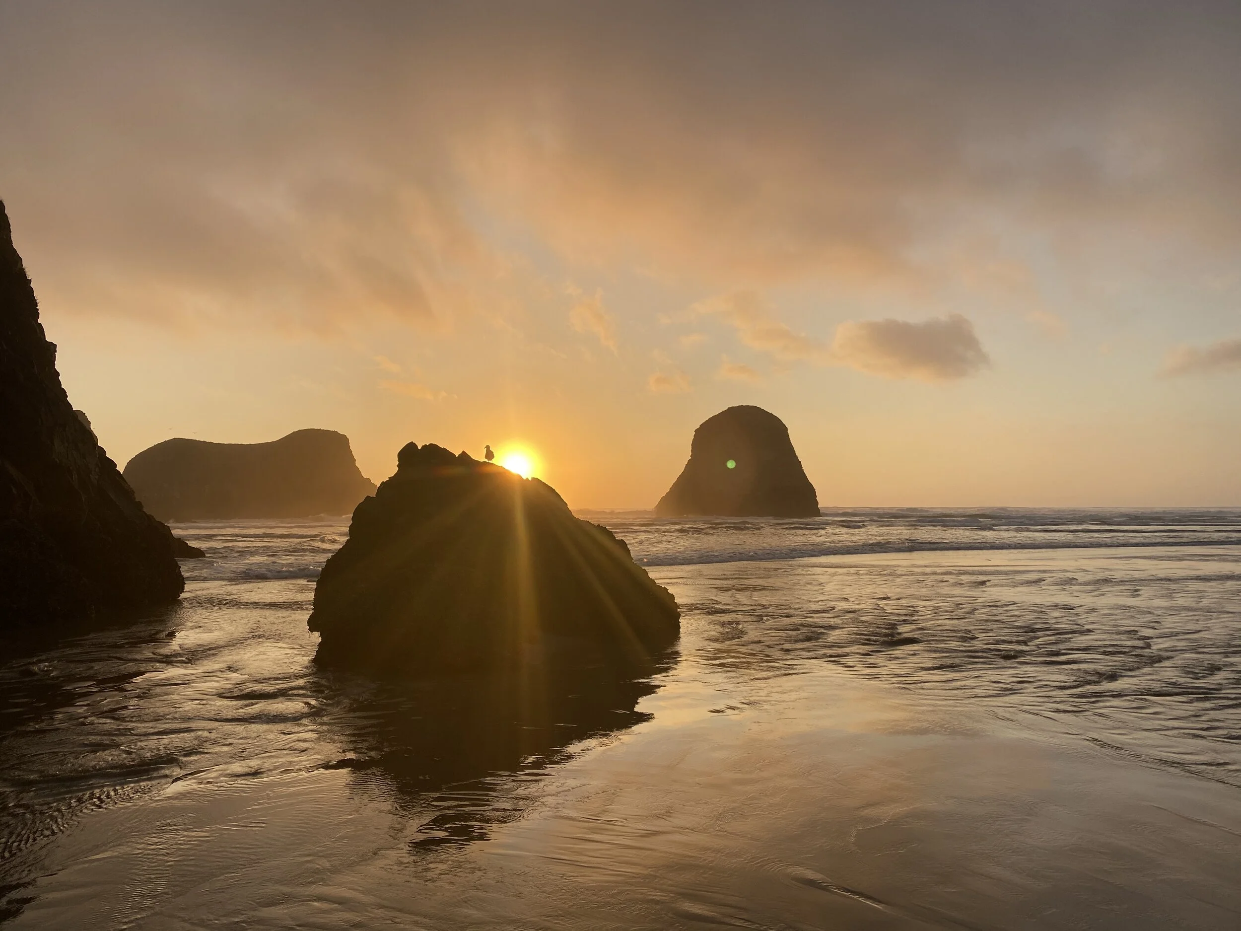 Does it get much prettier than this? Image Courtesy: Dan Meyers