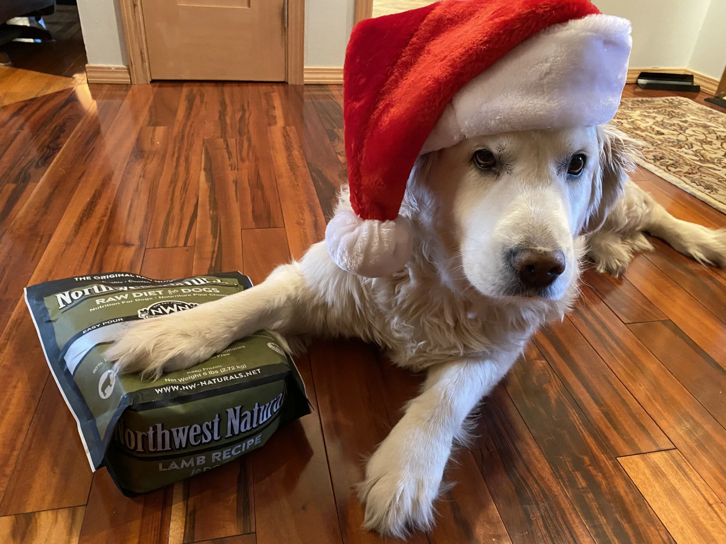 Yep, that’s my dog Bella there and she is making sure I don’t forget her meal time! She’s an equal fan of the treats from NW Naturals, a great, local brand making raw pet food. Image Courtesy: Dan Meyers
