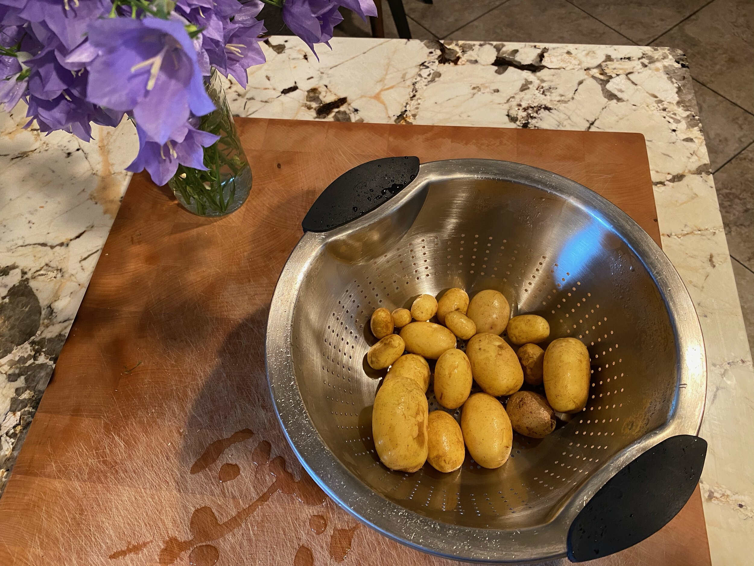  The harvest of potatoes was pretty exciting. My little girls were digging these up and reacting like they were finding gold nuggets! ;). Image Courtesy: Dan Meyers 