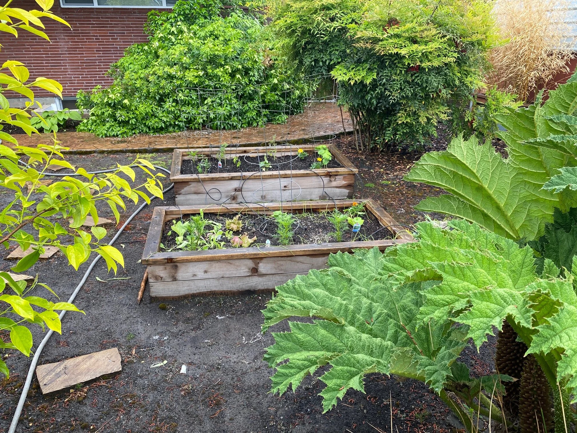  A look at the finished planter boxes. Now just some rain, sun and time ;). Image Courtesy: Dan Meyers 