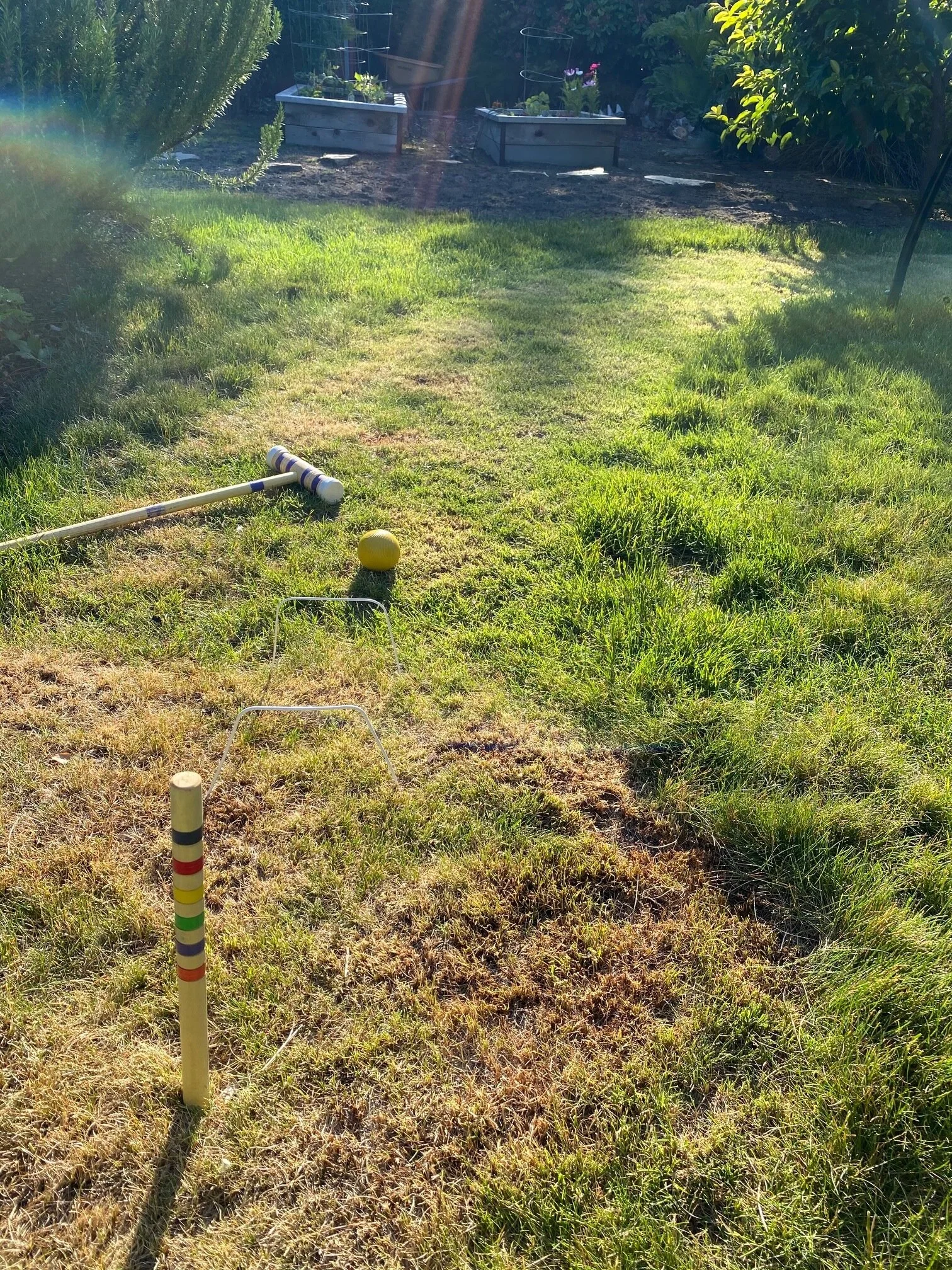  It had been 20 years since I picked up a croquet mallet. Who knew the fun was just awaiting!!! Image Courtesy: Dan Meyers 