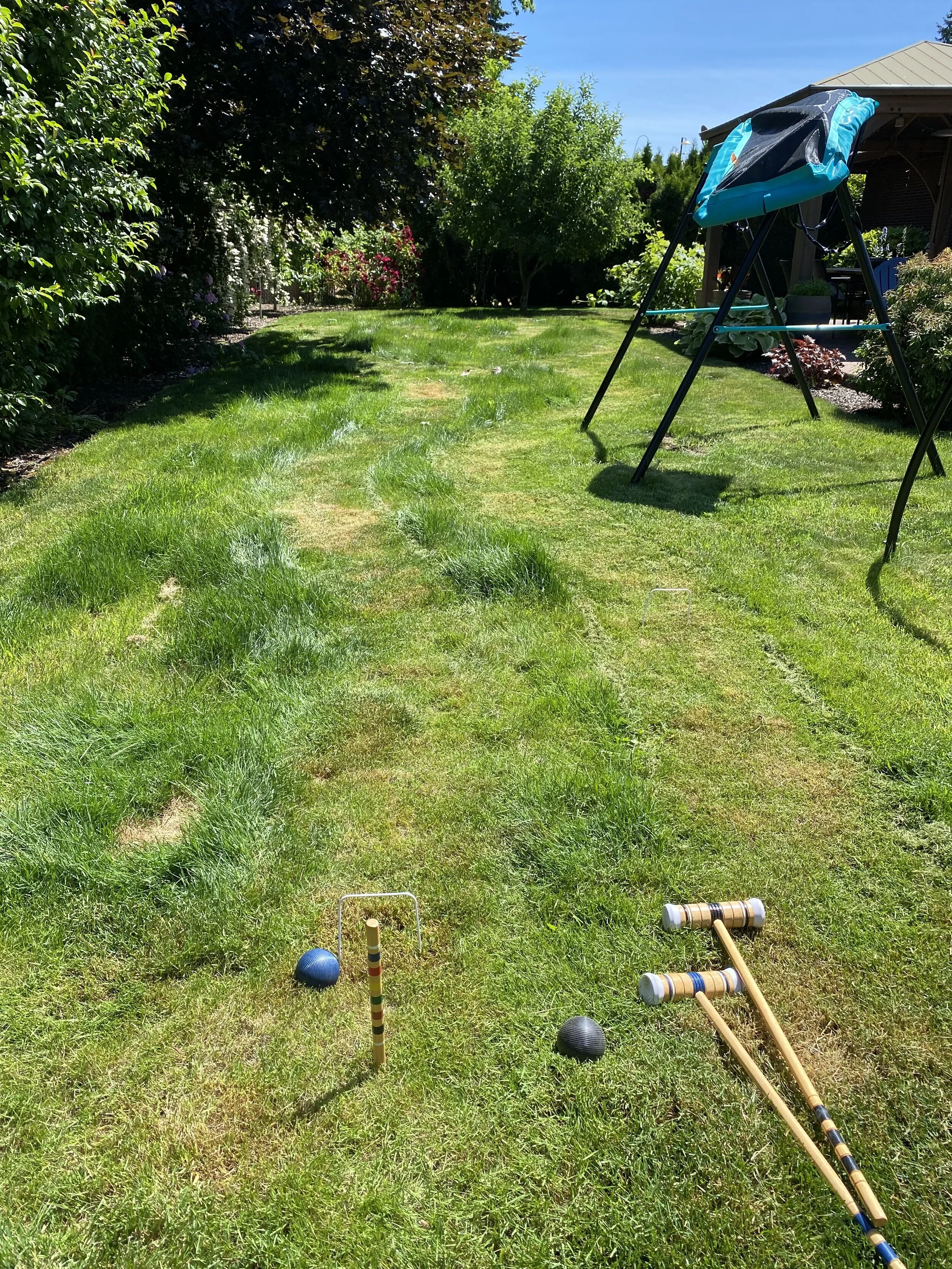  My first try shown here…called a “hot mess” by my old fraternity brother and nearby “croquet aficionado!” He came right up I-5 to fix it this same day! Yes, the rough was way too rough…and the course lanes were far too narrow (among other issues). Image Courtesy: Dan Meyers 