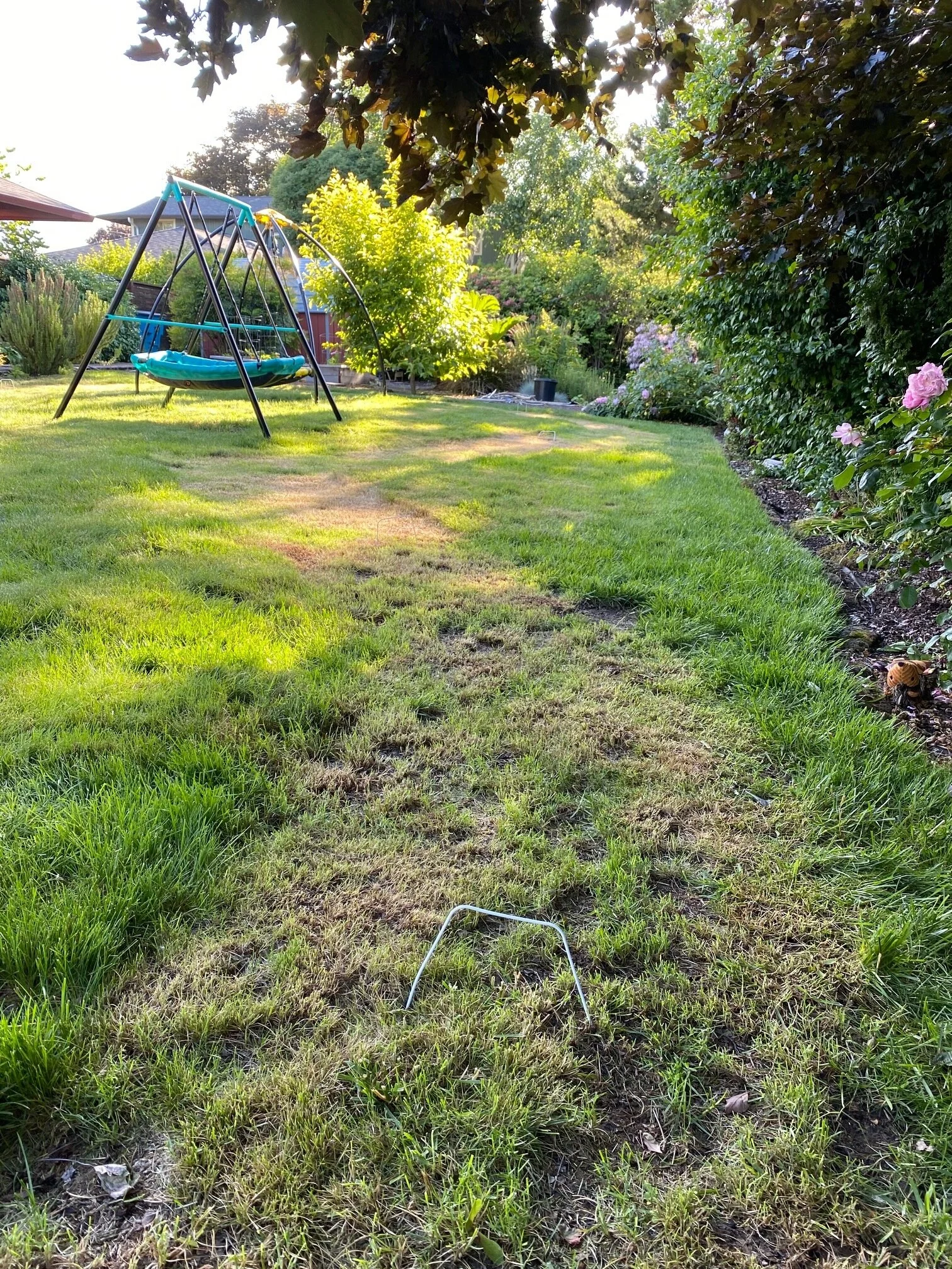  You can see well here how the wider paths can make for more fun and less time weed whacking! Image Courtesy: Dan Meyers 