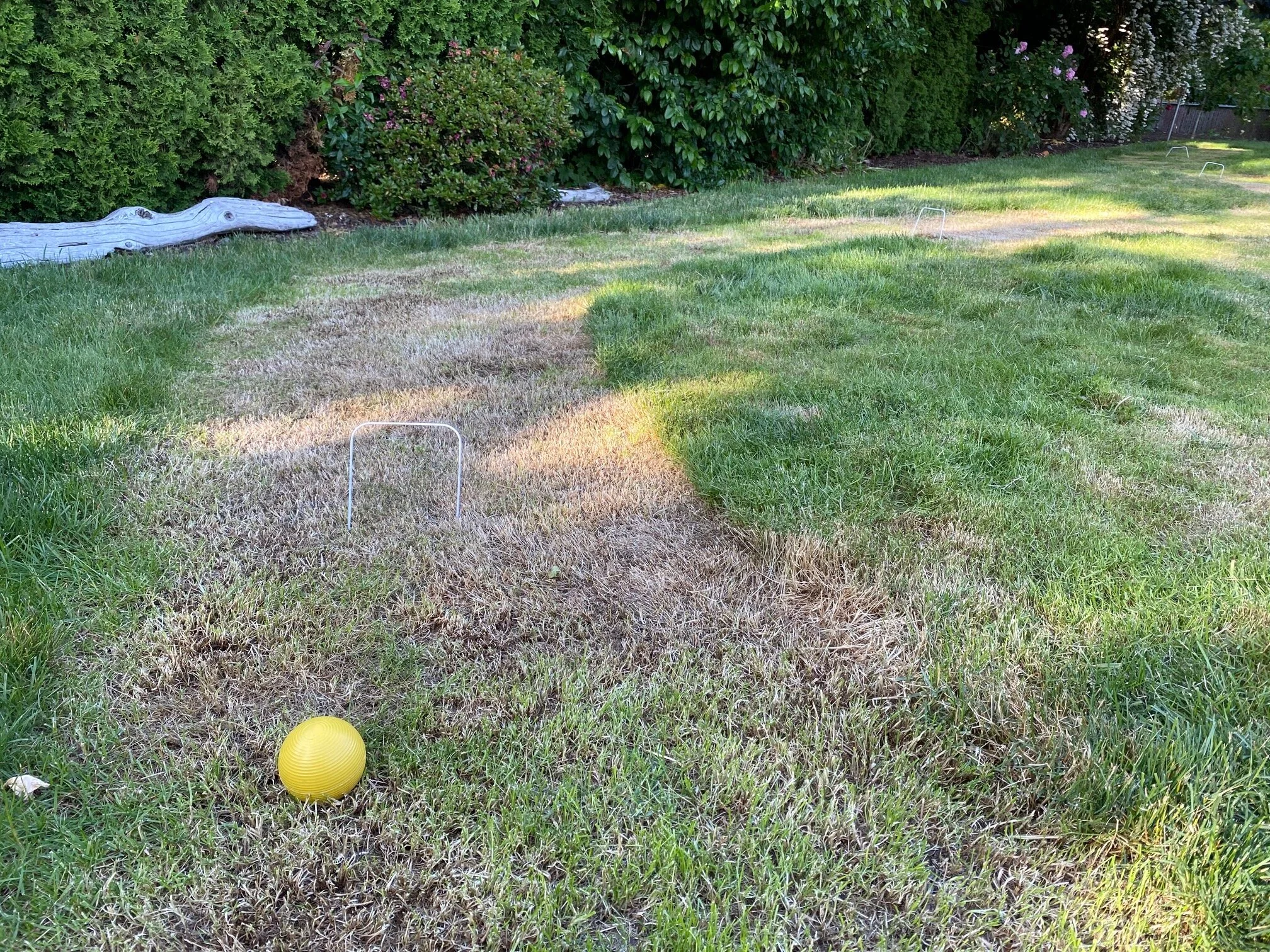  Remember the rules? If not, there’s a link below. However, right here, if you make it through this upcoming wicket, you get another shot. Each time you pass through a wicket, it’s another shot awaiting. And if you hit someone else’s ball you can pick their ball up, set it next to yours, put your foot on your ball (to secure it) and then whack it to send the other ball flying. And…you still get one more stroke. Of course, you can skip the whacking and just take two turns. Big advantage! Image Courtesy: Dan Meyers 