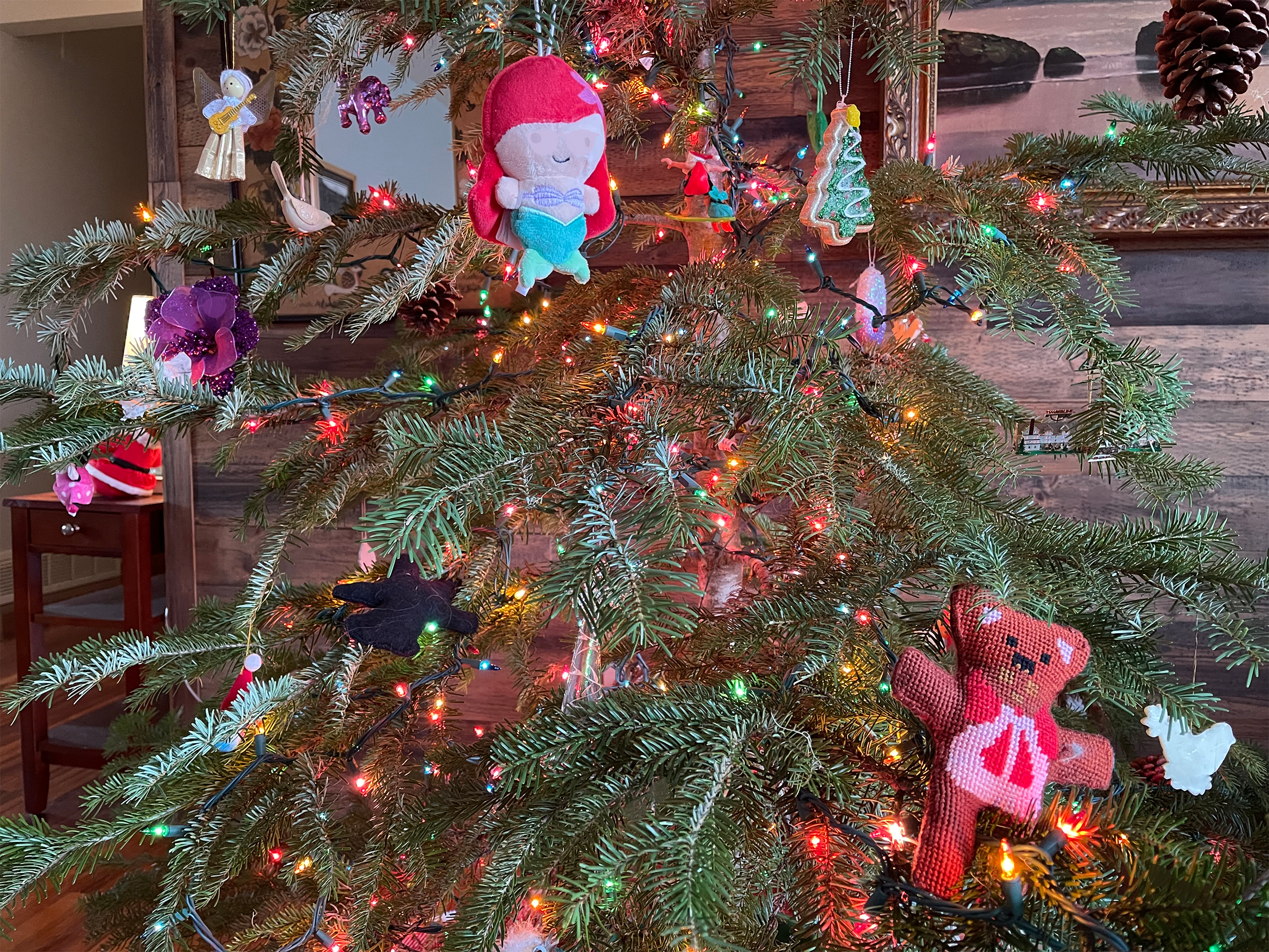  Find the six pairs of sunglasses hidden in this holiday picture. Remember, each pair of sunglasses is a different color, most likely tilted and slightly transparent. Use the hints below if you need them! Image Courtesy: Dan Meyers 