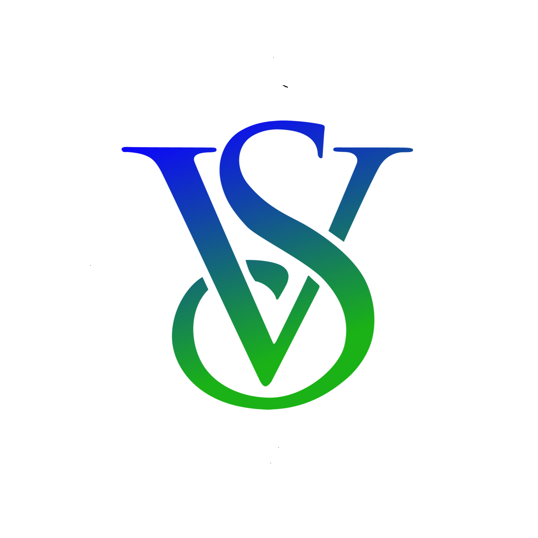 VS Logo-1729.png (Copy) (Copy) (Copy) (Copy) (Copy)