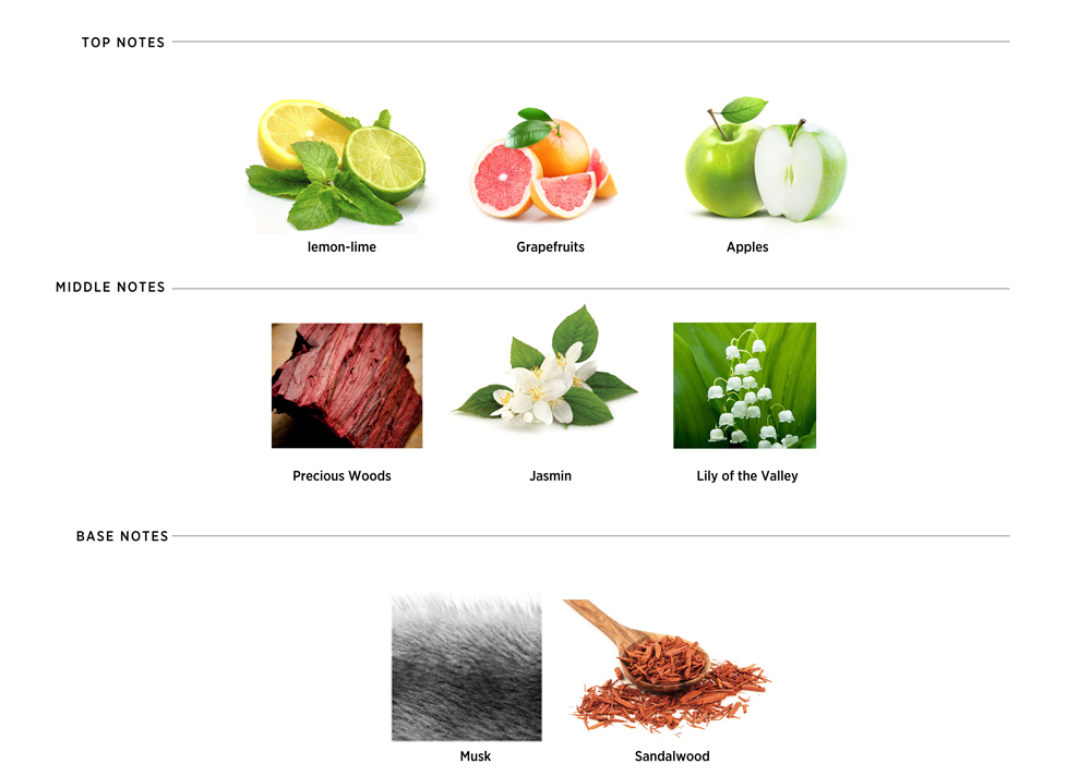 Fragrance Notes