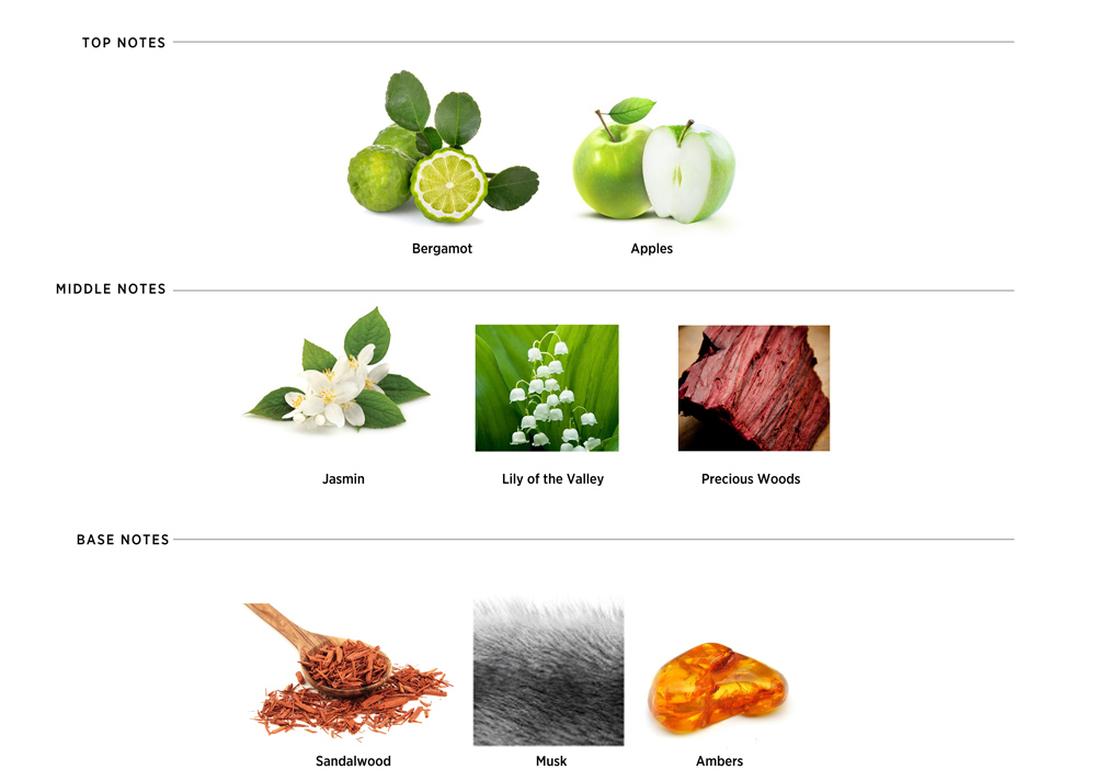 Fragrance notes