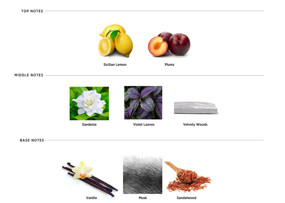 Fragrance note