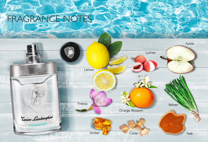 ESSENZA-Fragrance_notes_.jpg