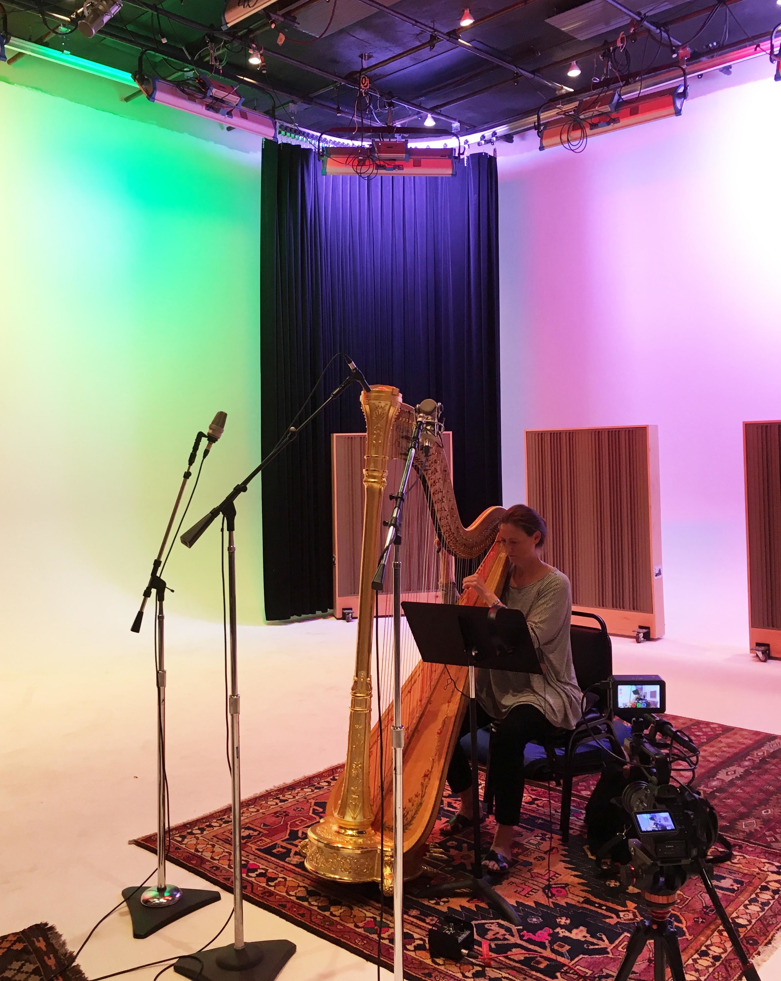 Jeannine Goeckeritz – Come Dream With Me Album – Recording Session – HUGEsound Post Production - Lysa Rytting - Harp.jpg
