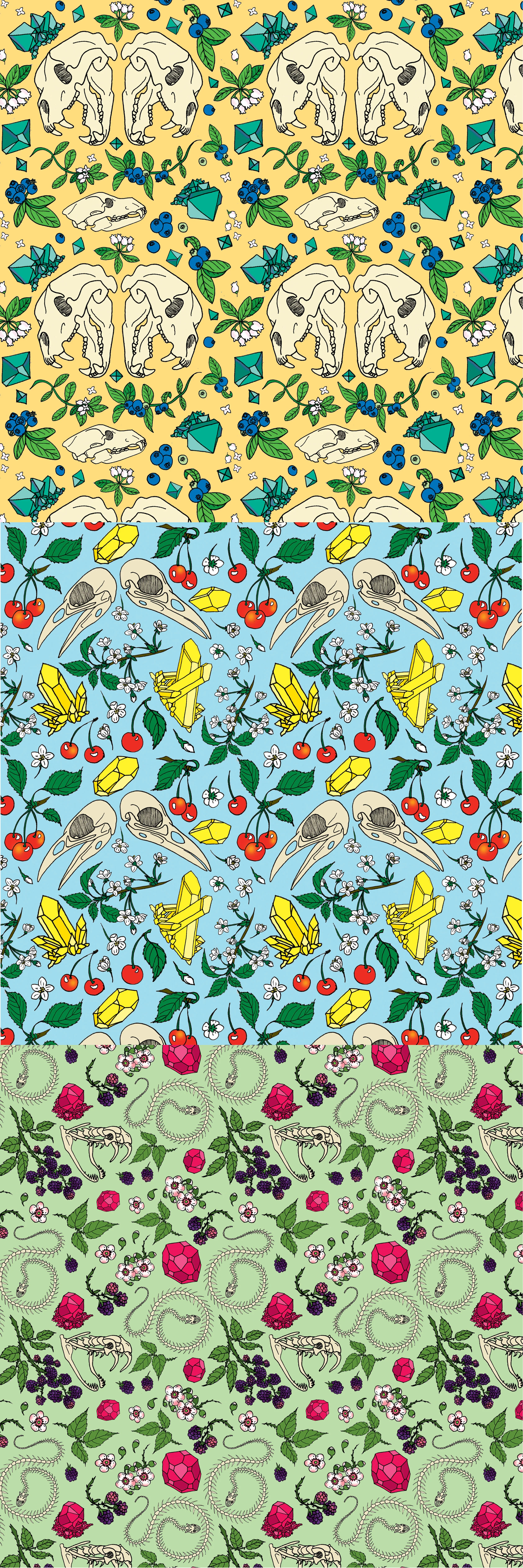 Blooms, Bones, Stones Prints, 2016 Pen & Digital