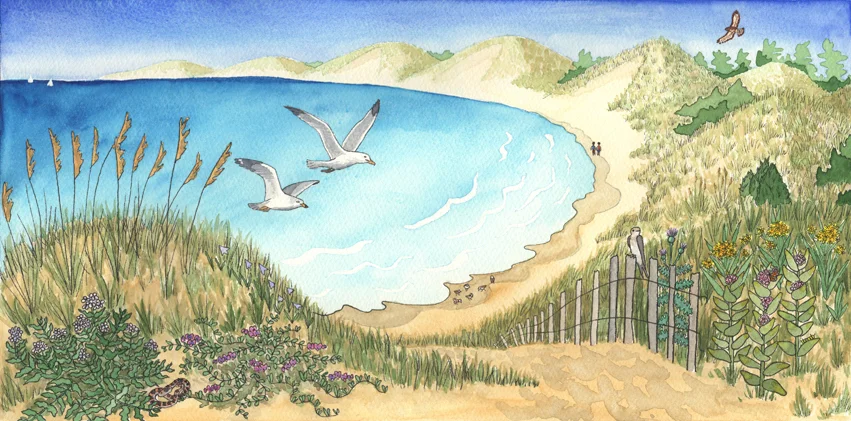 Michigan Wilderness - Dunes, 2017 Pen & Watercolor 