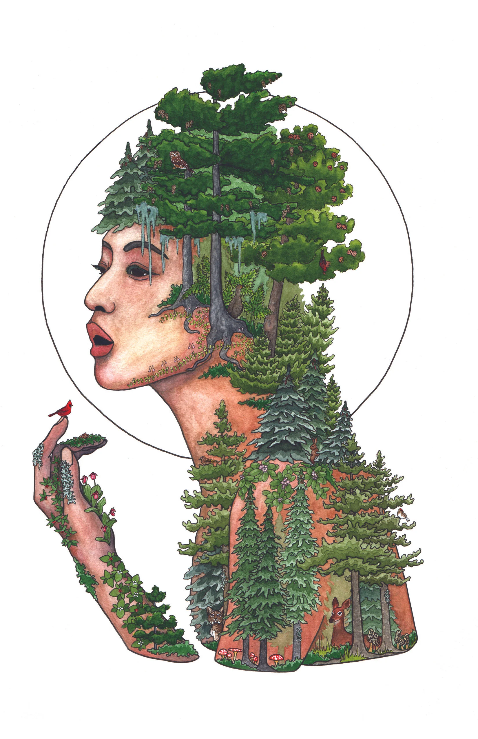 The Coniferous Forest, 2018 Pen & Watercolor