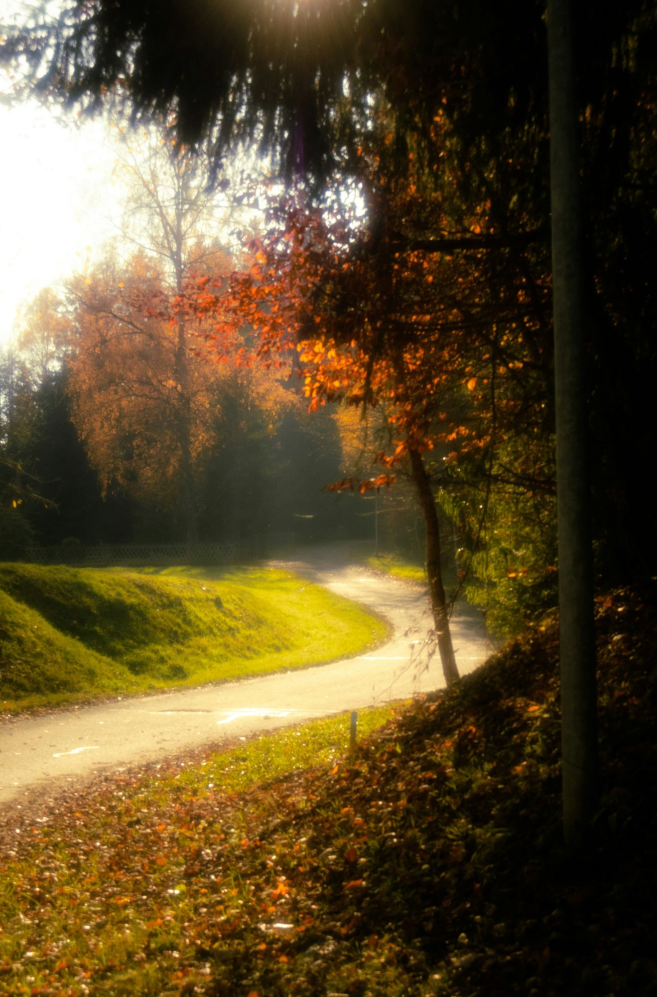 A winding dirt path through a park with fallen autumn leaves on the ground, surrounded by trees with orange and green leaves, illuminated by sunlight.